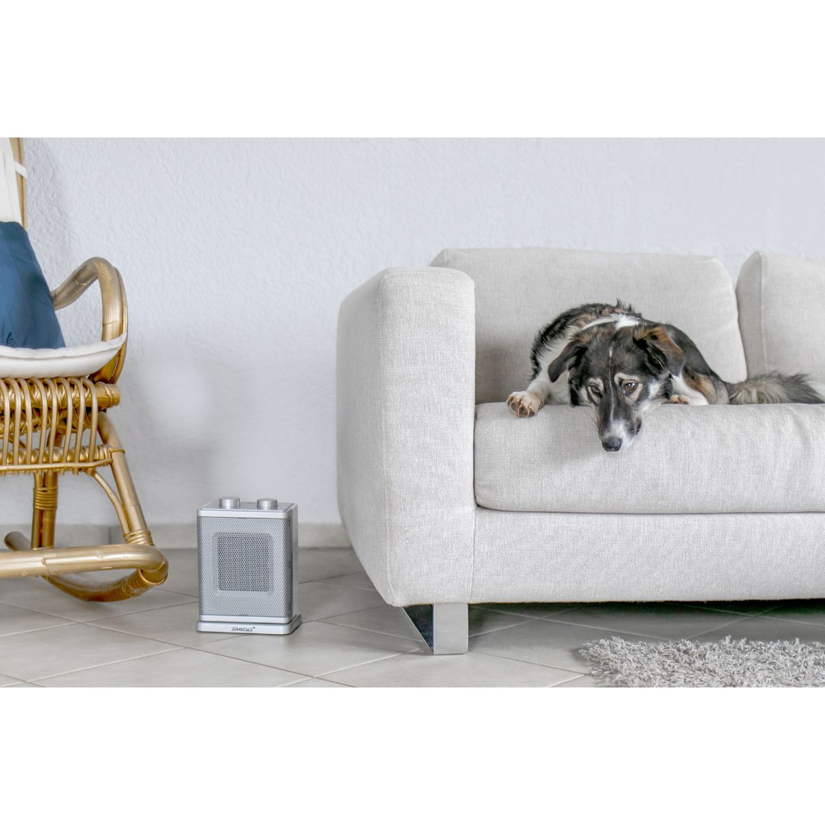 Ein Hund liegt auf einem Sofa, eine Heizung steht auf dem Boden. Ein Schaukelstuhl steht links.