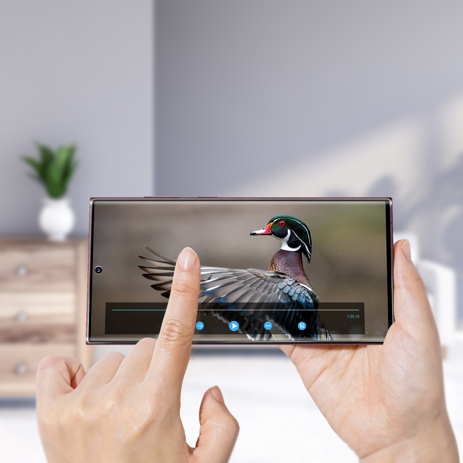 Mani che tengono un telefono che mostra un video di anatra. Lo sfondo include un mobile e una pianta.