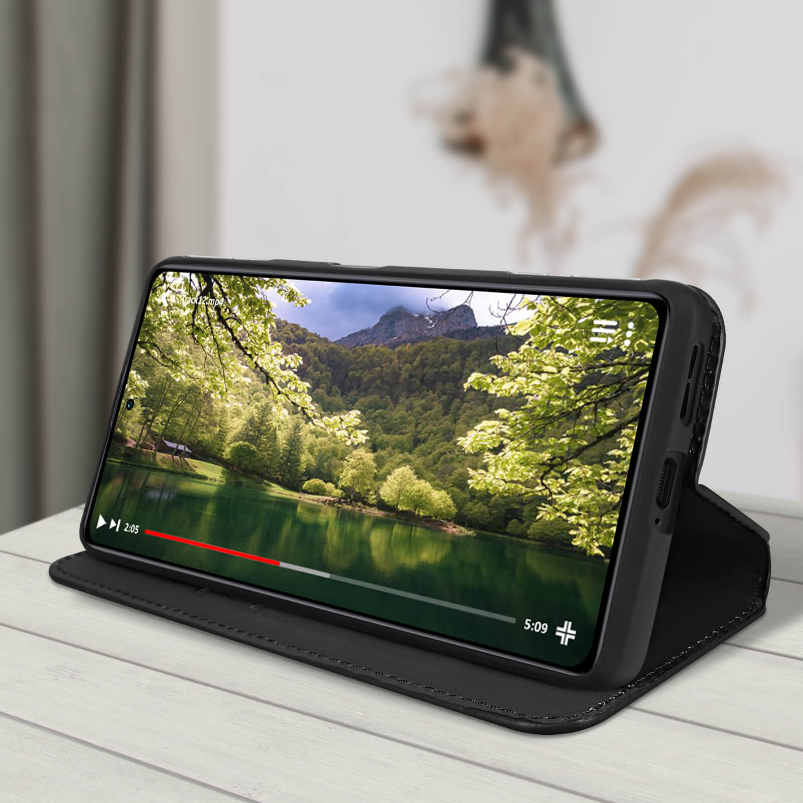 Telefono in una custodia. Lo schermo mostra un video di un lago e alberi.