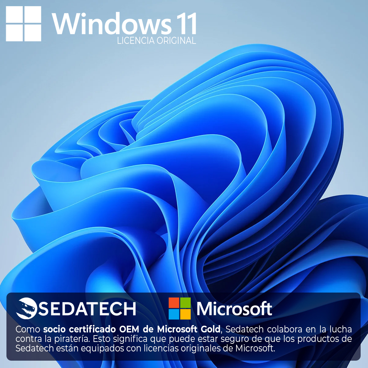 Blaues, abstraktes Windows 11-Bild mit spanischem Text, einschließlich Logos für Sedatech und Microsoft.