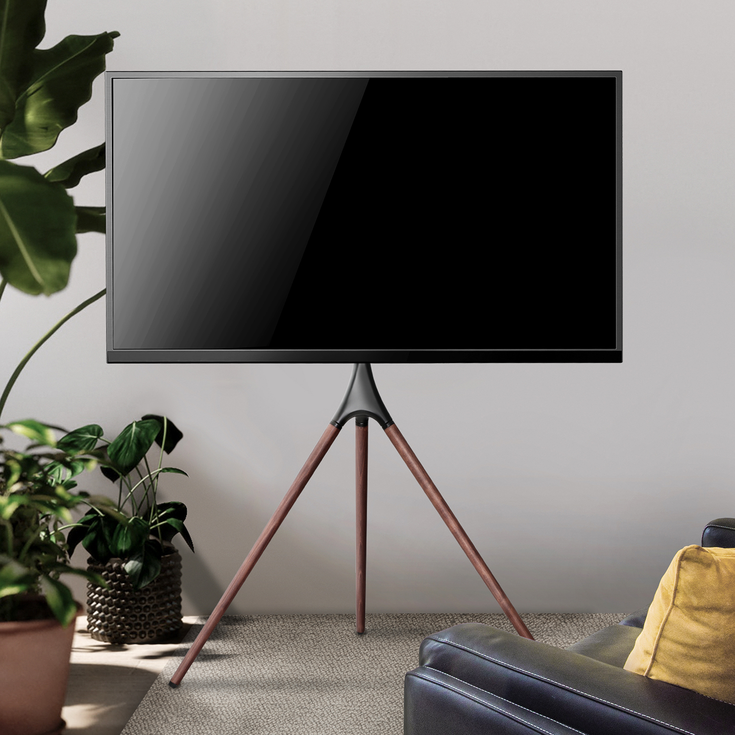 Een tv op een statief. Links een plant en rechts een bank.