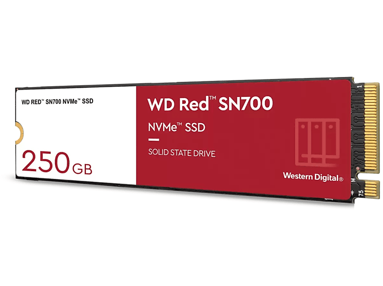 WESTERN DIGITAL Red SN700, intern WD SSD, 250 GB