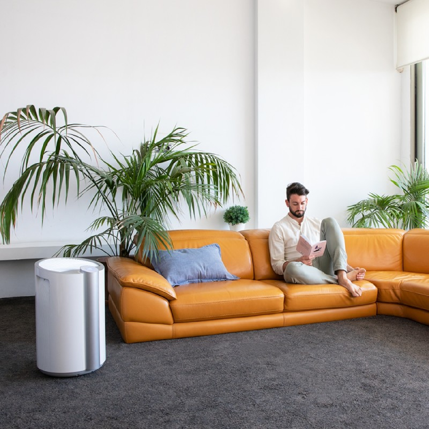 Mężczyzna czytający magazyn na skórzanej sofie z roślinami. Tło jest białe.