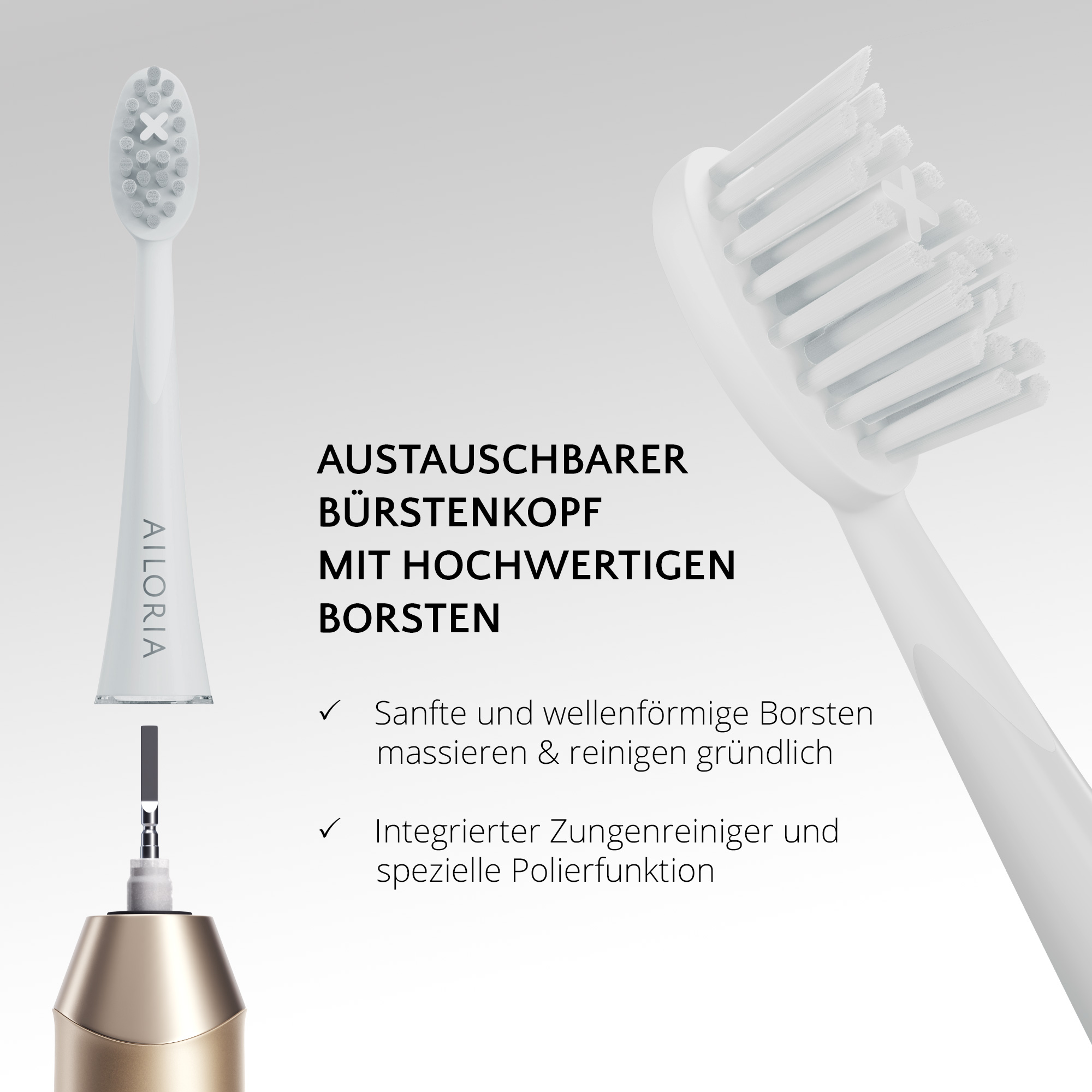 Zwei weiße Zahnbürstenköpfe mit Text über austauschbare Köpfe und hochwertige Borsten. Nahaufnahme.