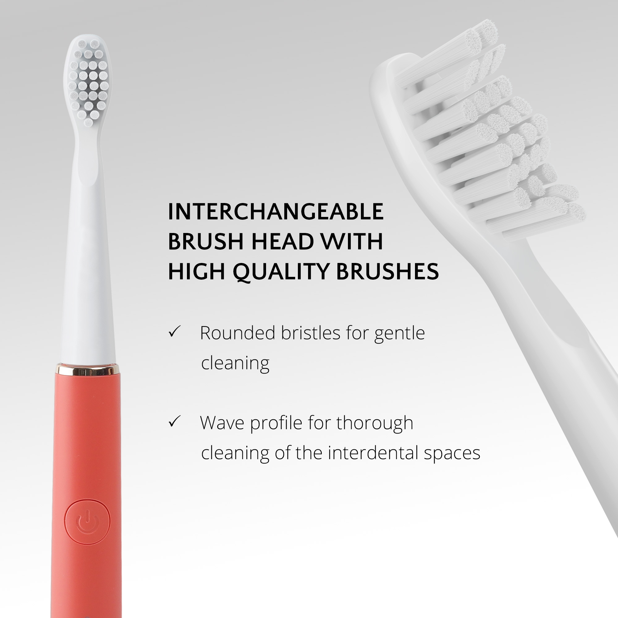 Cepillo dental rojo con cerdas blancas, fondo blanco, leyenda cabezal intercambiable.