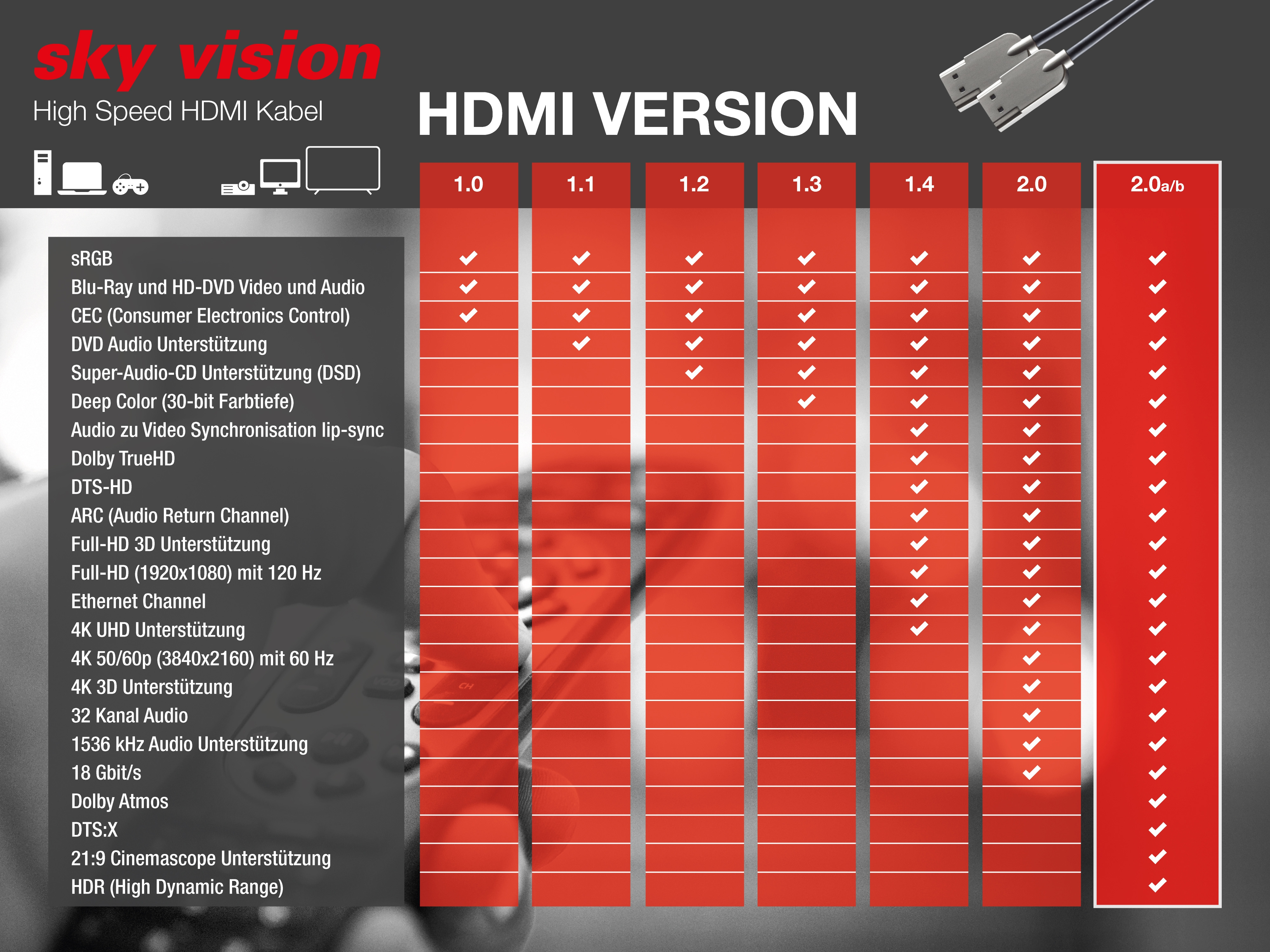 HDMI-Kabel-Infografik, mit Versionen 1.0 bis 2.0a/b, die Funktionen zeigen.