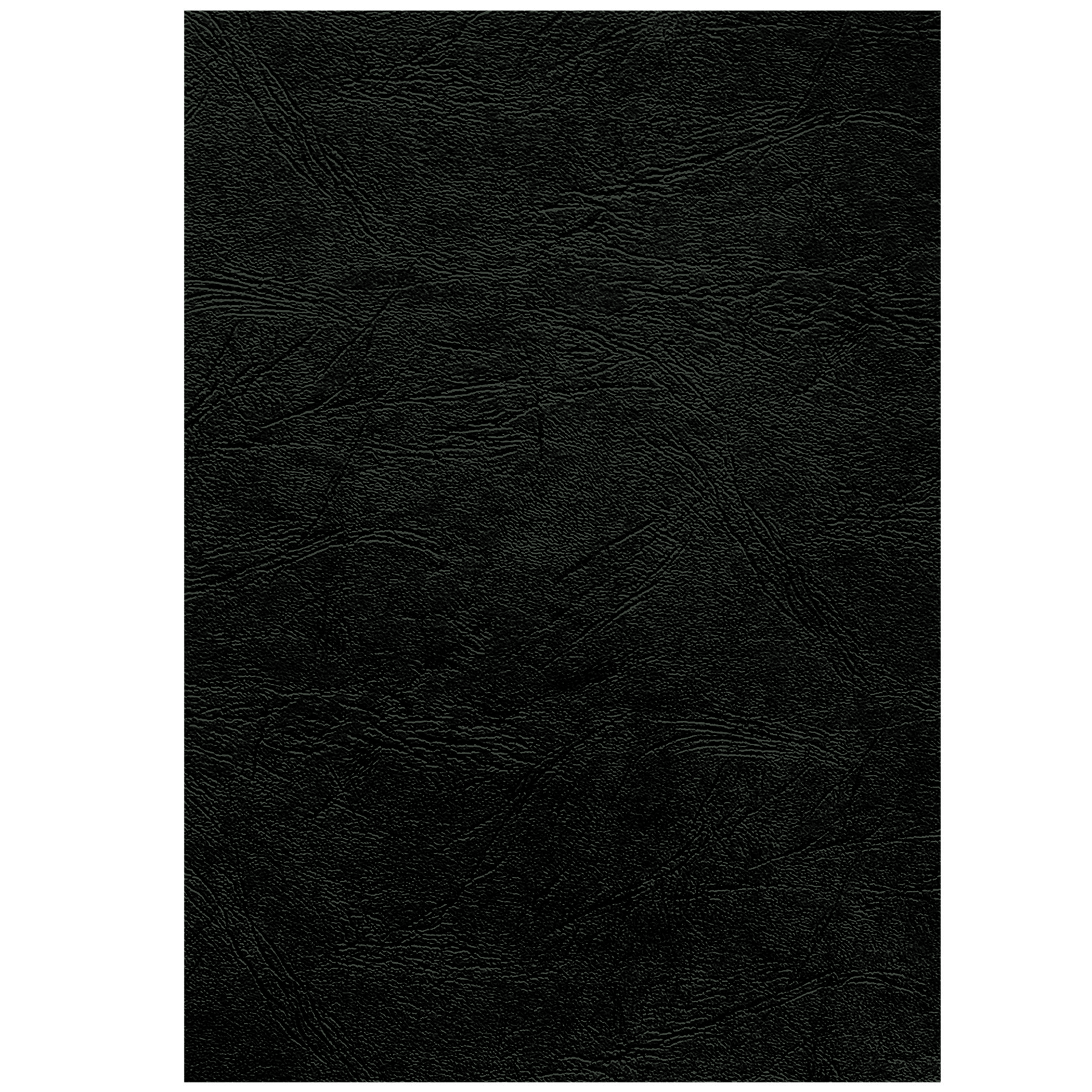 Eine schwarze, lederartige Oberfläche, die den Rahmen ausfüllt.