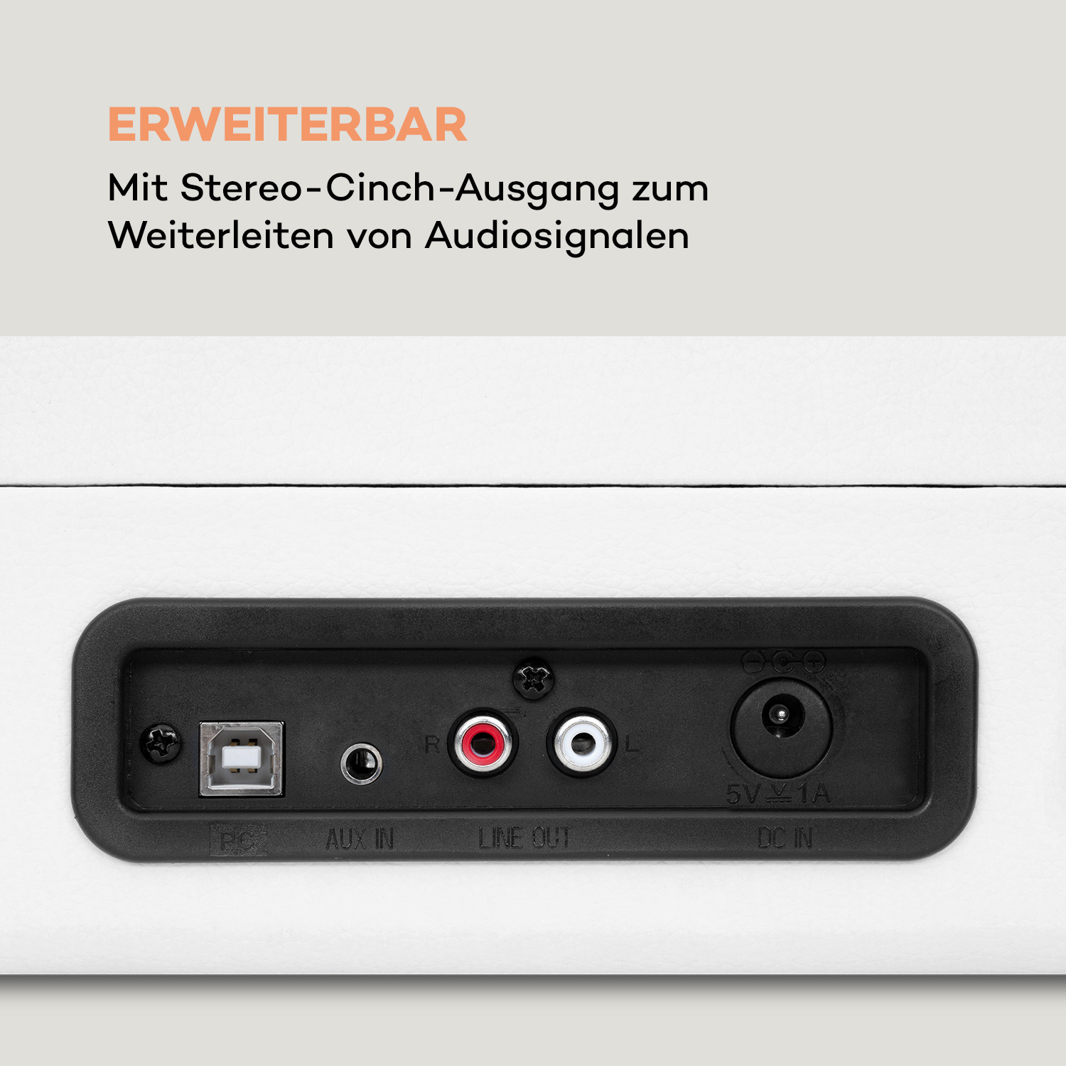 Rückseite eines schwarzen Geräts mit verschiedenen Anschlüssen für Audio und Strom.