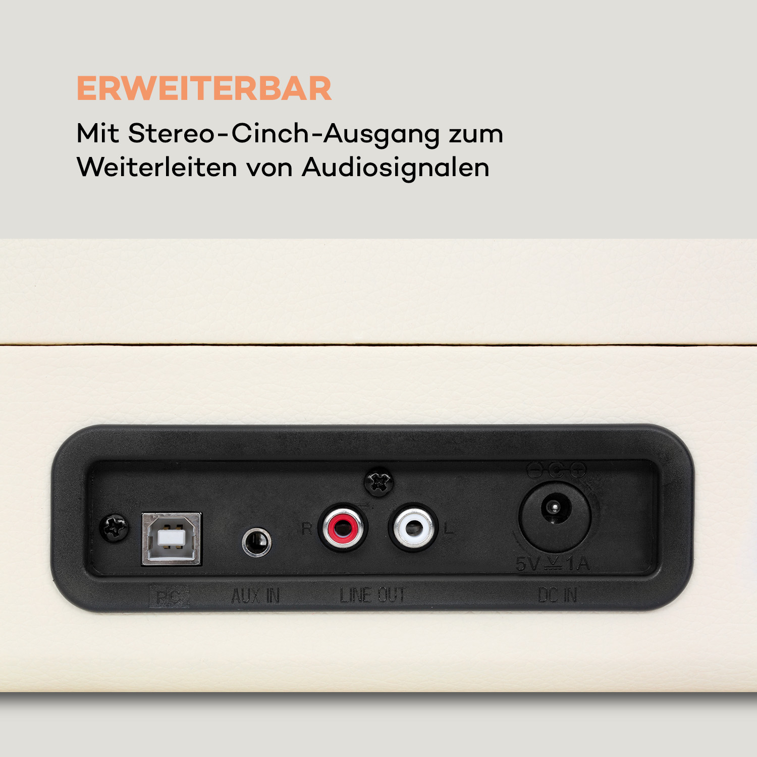 Nahaufnahme einer schwarzen Platte mit verschiedenen Audioausgängen und -bezeichnungen auf cremefarbenem Hintergrund.