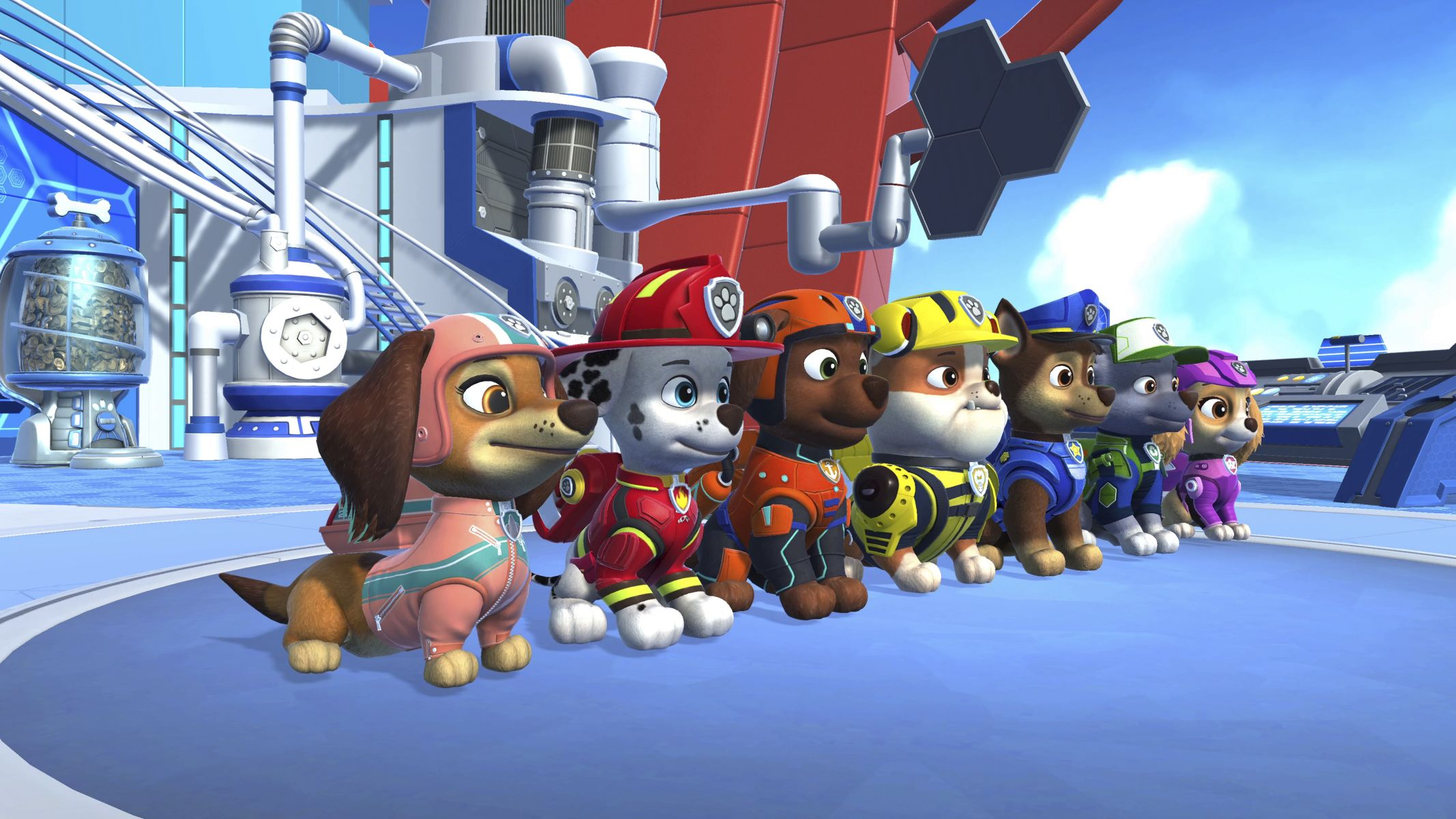 Un gruppo di personaggi di Paw Patrol in piedi in fila.