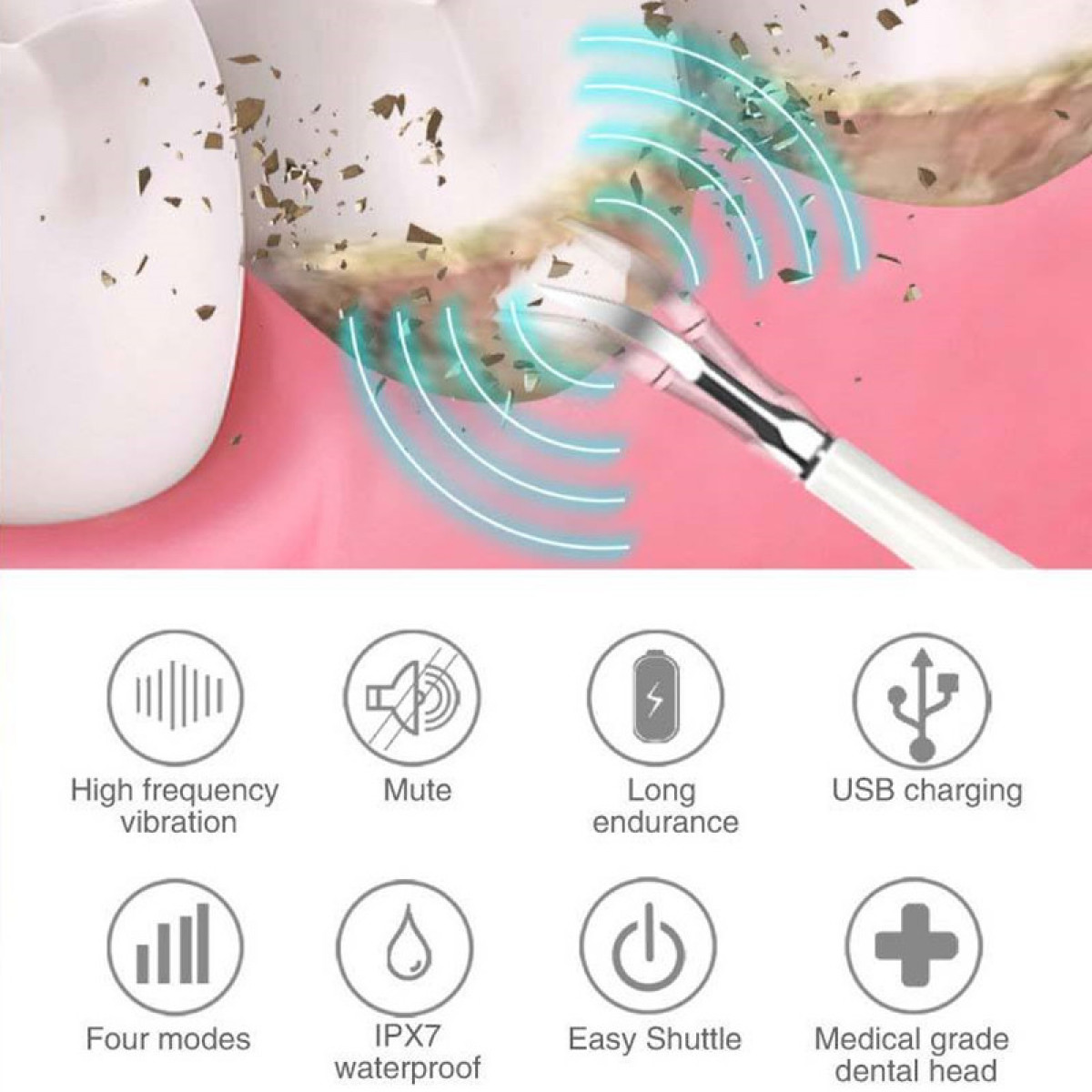 INF Elektrische Weiß Zahnbürste Zahnsteinentferner Elektrische Zahnbürste mit