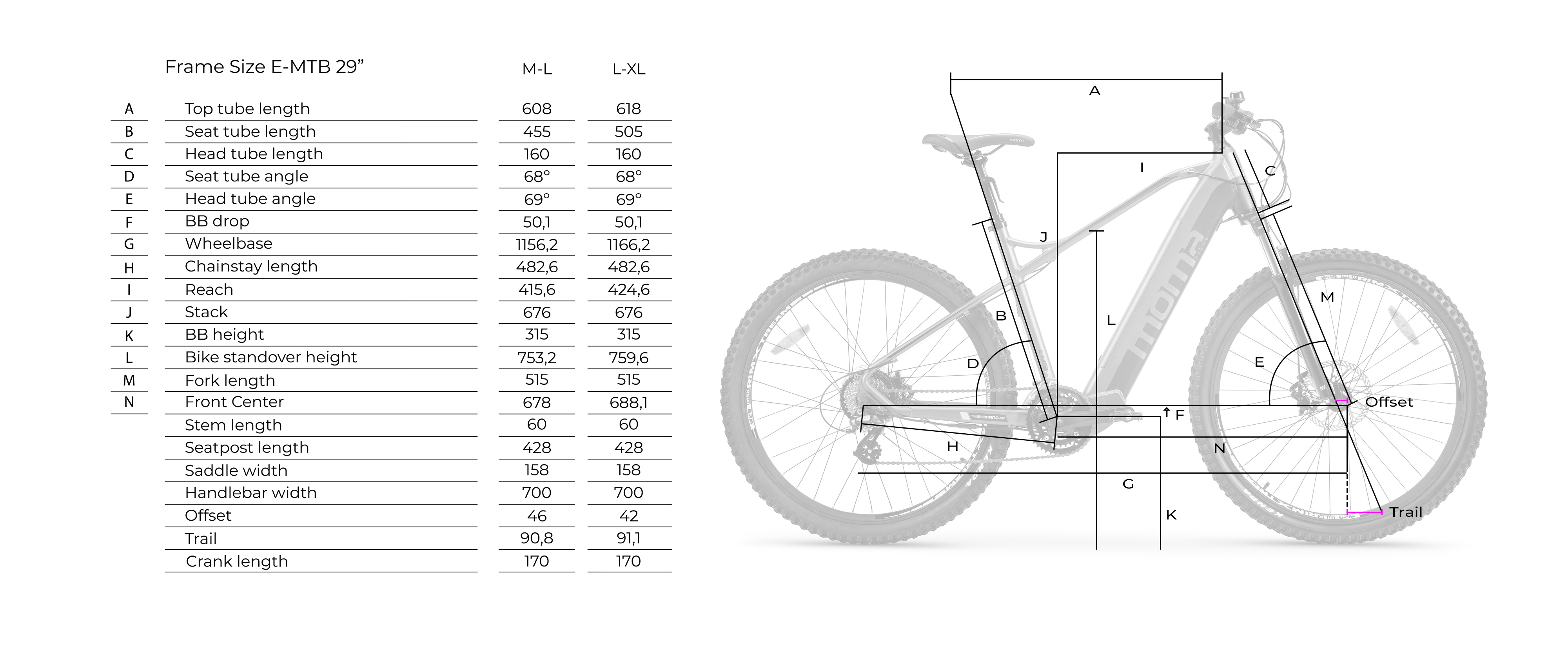 MOMABIKES BIE29MTRMG18 Mountainbike (Laufradgröße: 29 Zoll, Unisex-Rad, 624, Grau)