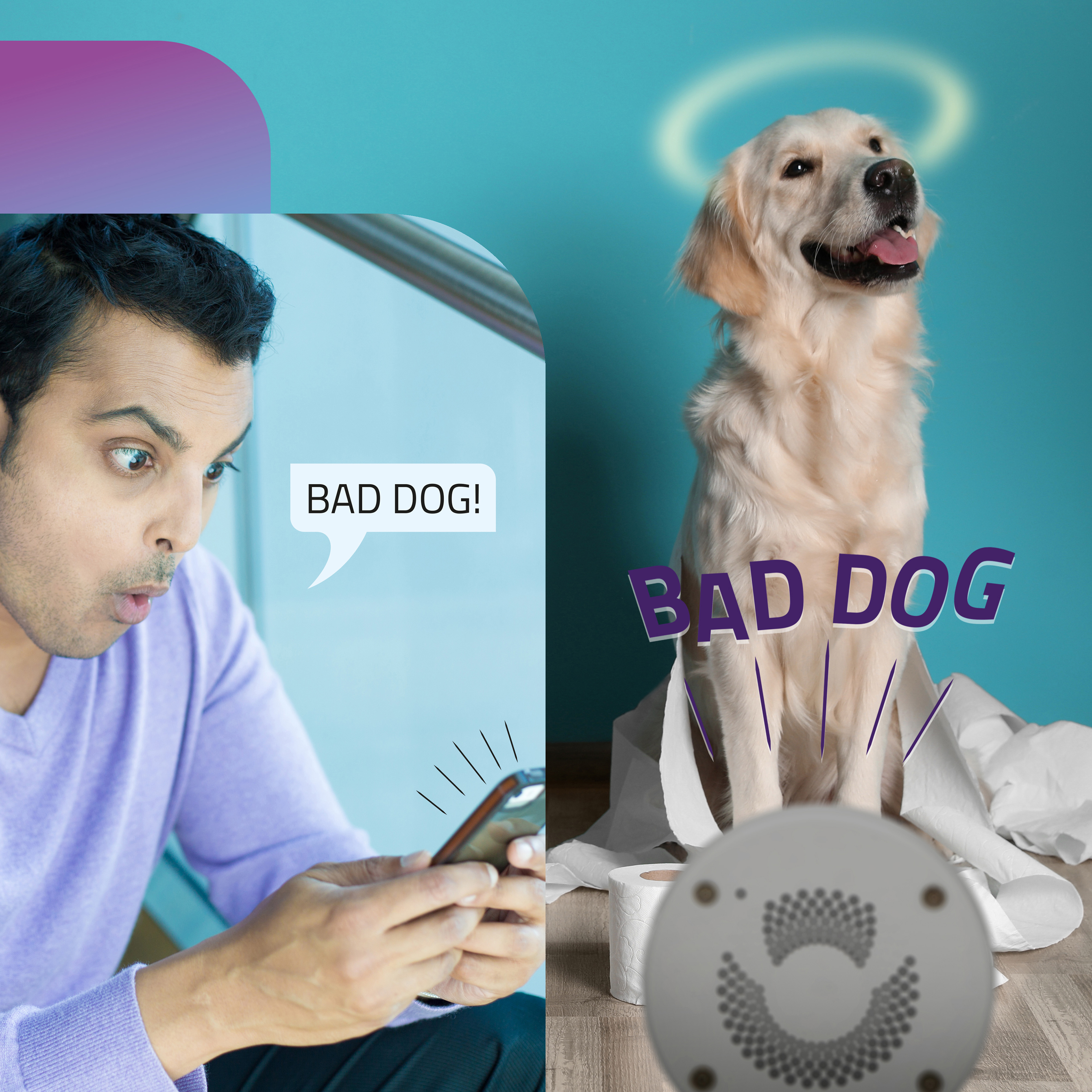 Ein Mann schaut schockiert auf ein Telefon, ein Hund mit Heiligenschein und eine Rolle Toilettenpapier.