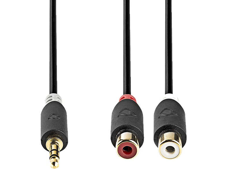 Stereo-Audiokabel NEDIS CABW22250AT02
