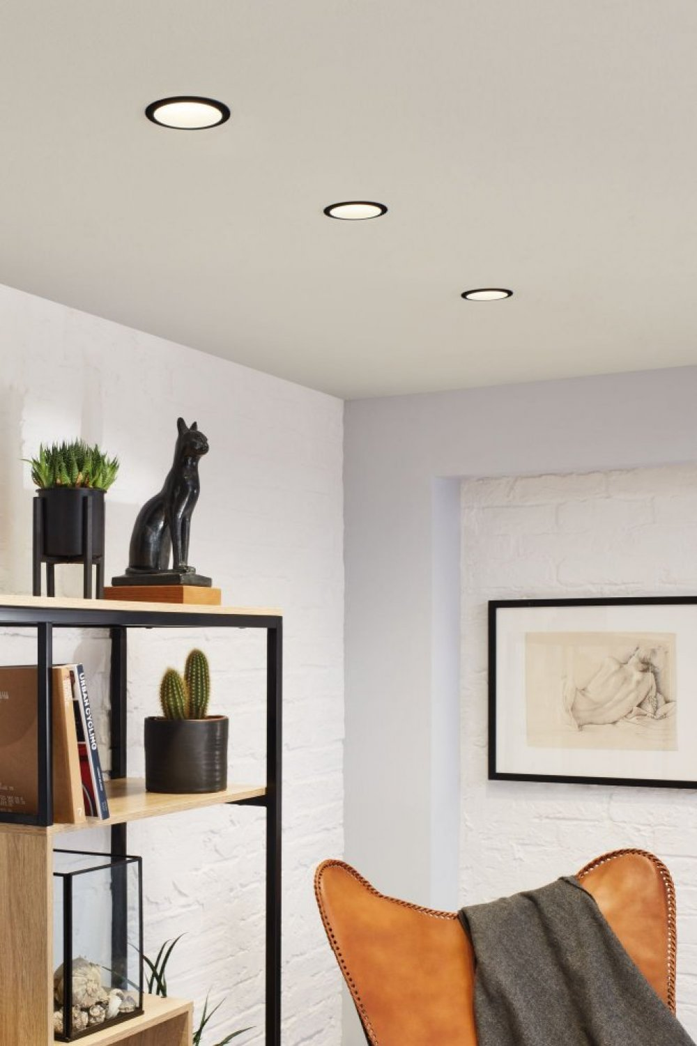Tre faretti incassati su un soffitto bianco. A sinistra, una libreria nera con decorazioni.