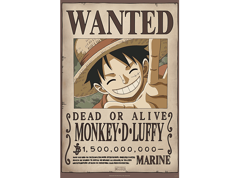 One Piece - Wanted