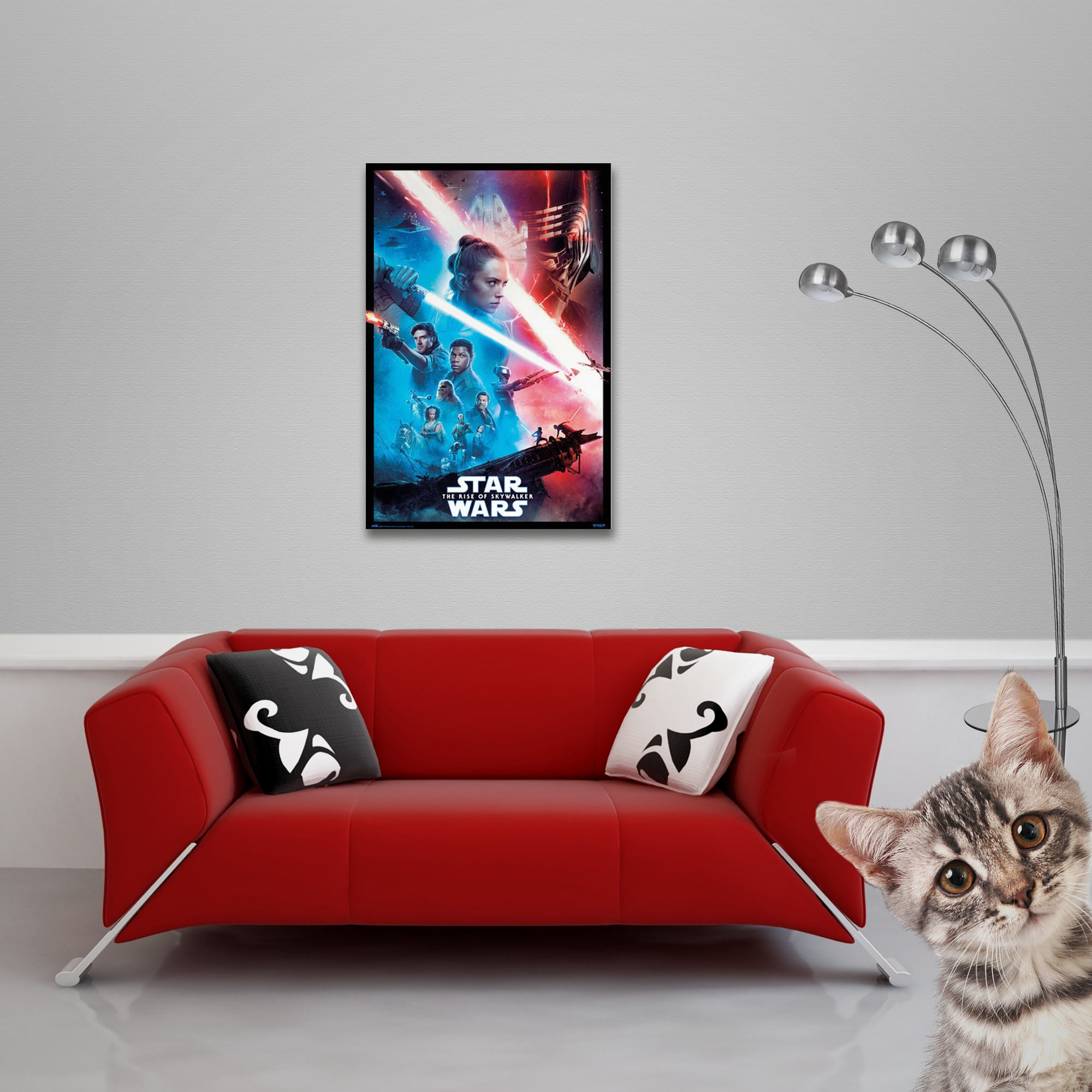 Filmposter von Star Wars auf rotem Sofa mit Katze, die in die Kamera schaut.