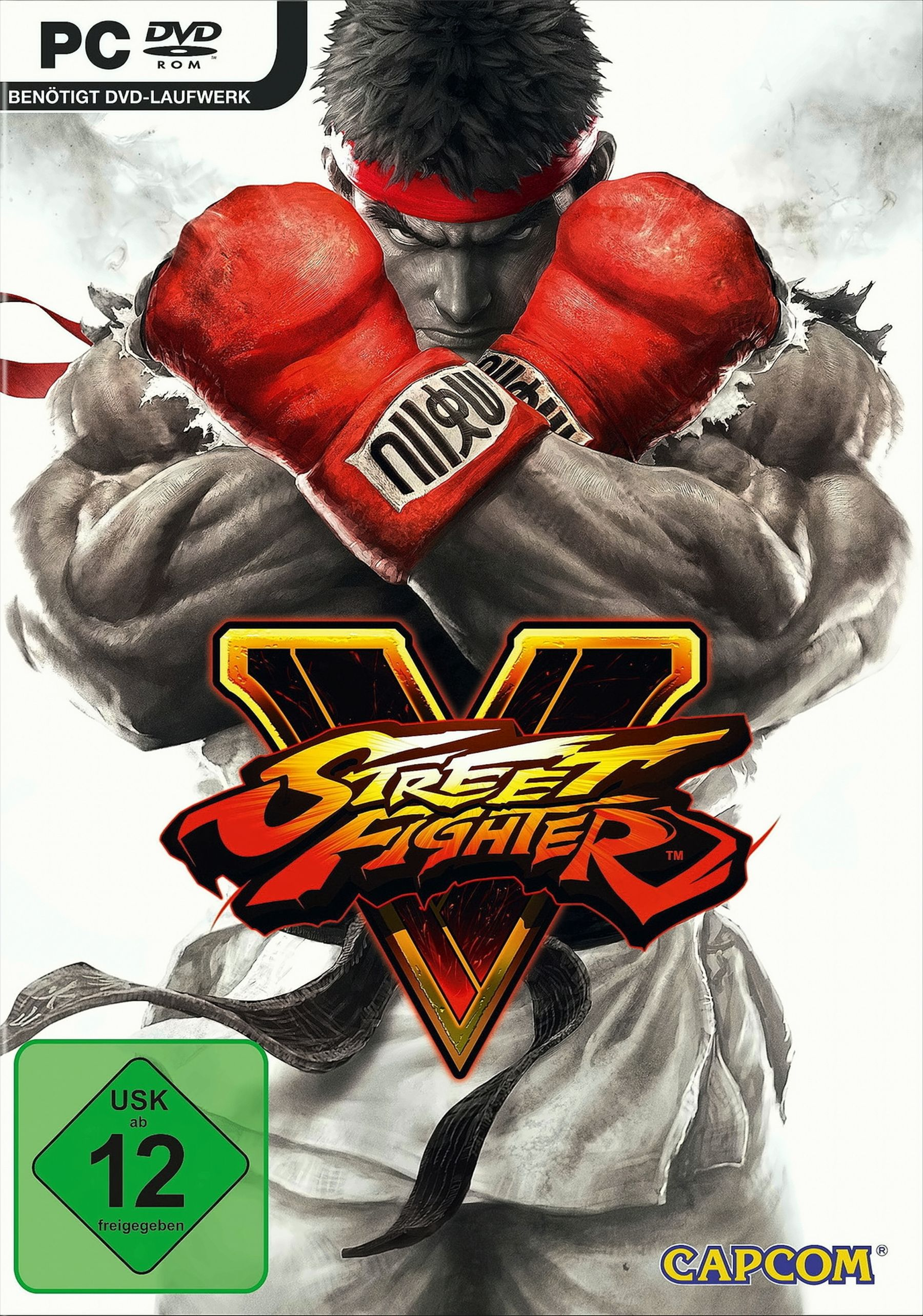 [PC] Fighter V - Street