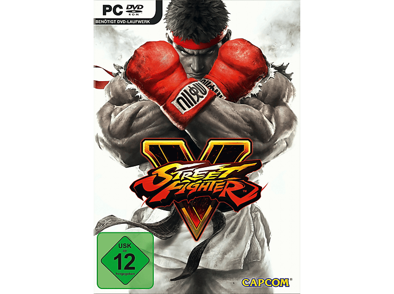 [PC] V - Fighter Street