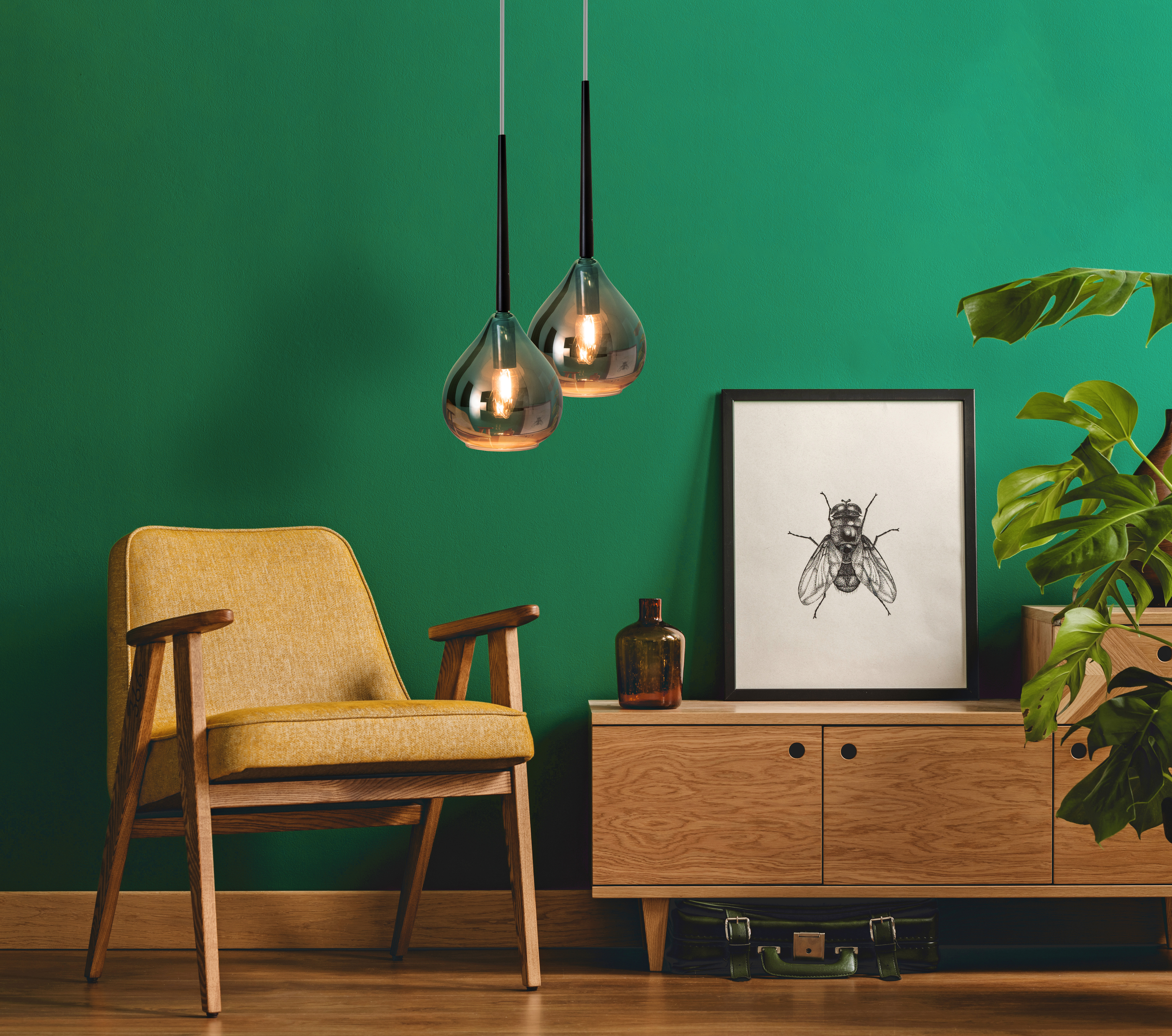 Intérieur avec deux suspensions, une impression d'insecte encadrée, un meuble en bois, une chaise jaune et des plantes.