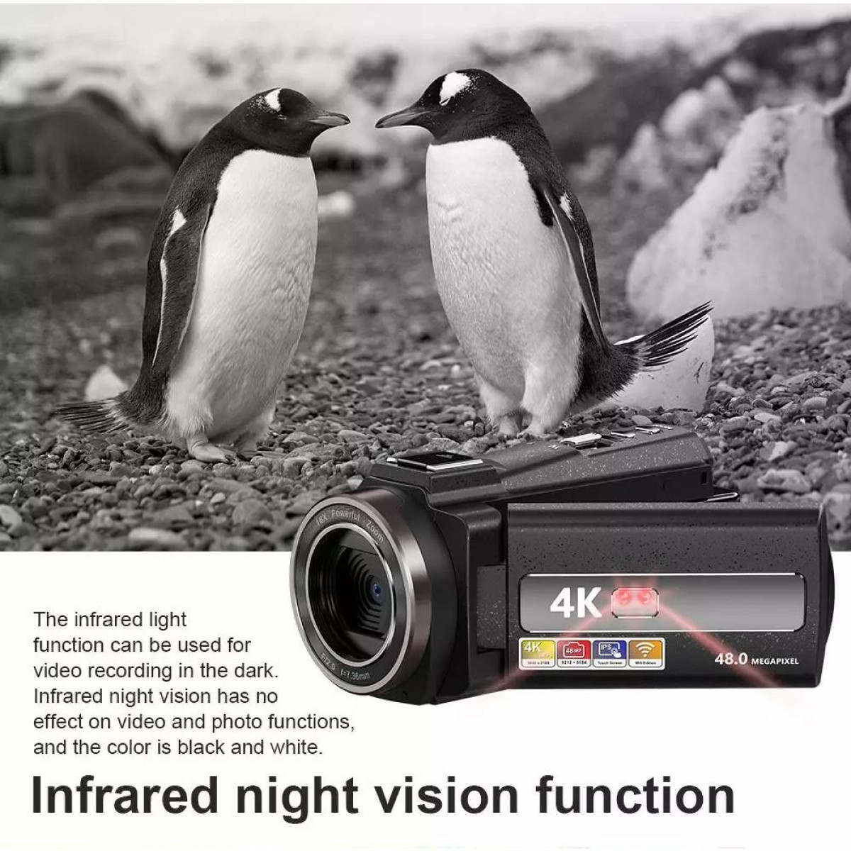 Dwa pingwiny przed kamerą. Tekst: Funkcja noktowizji w podczerwieni.