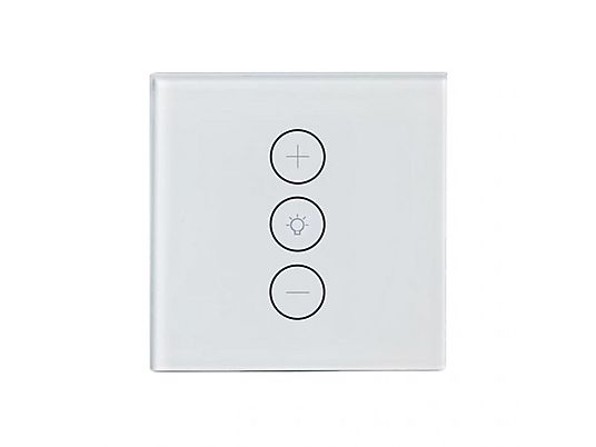 INF 49028089 Smart switch