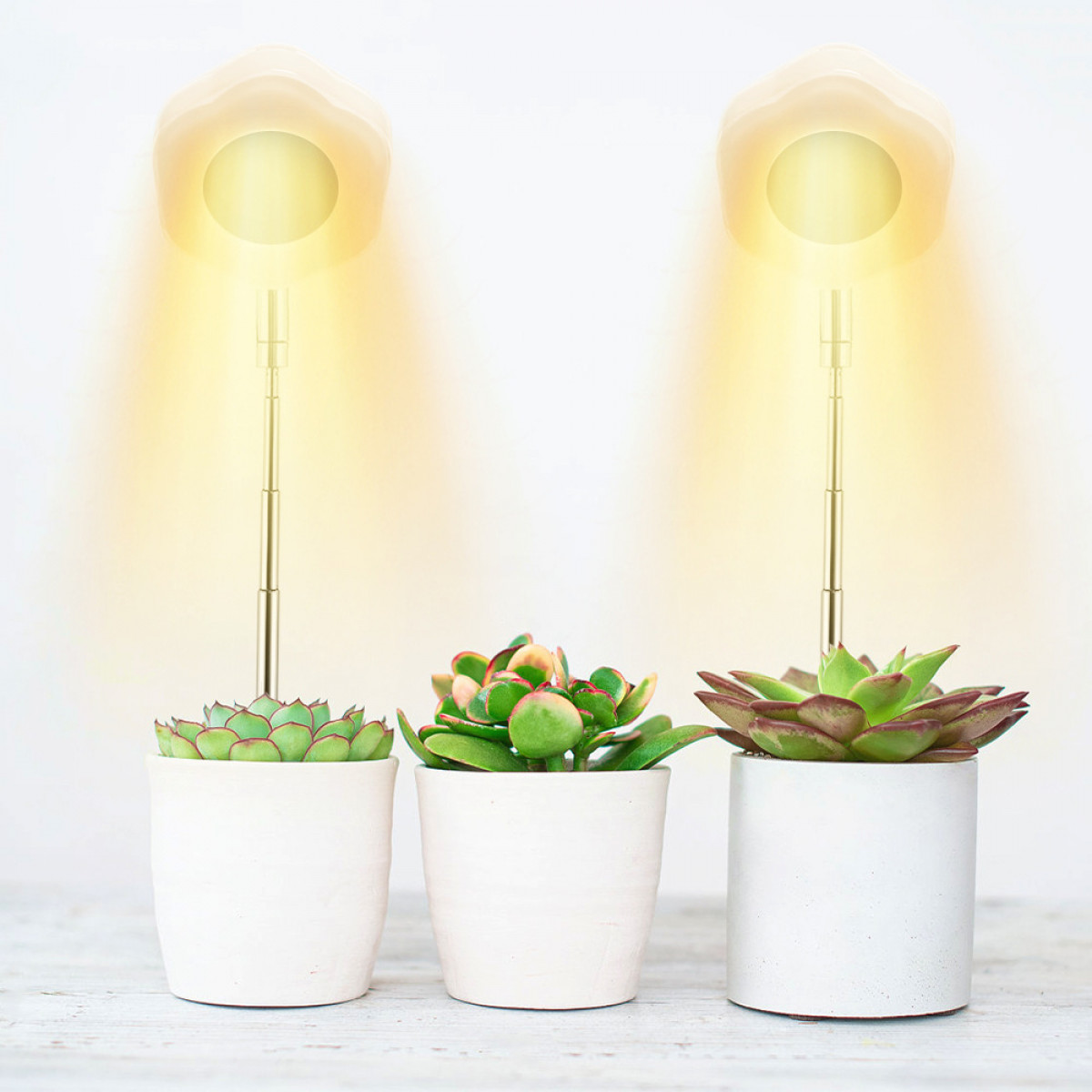 INF Hexagon Pflanzen Zimmerpflanzen Warmweiß/Weiß für Lights LED-Lampe Grow für