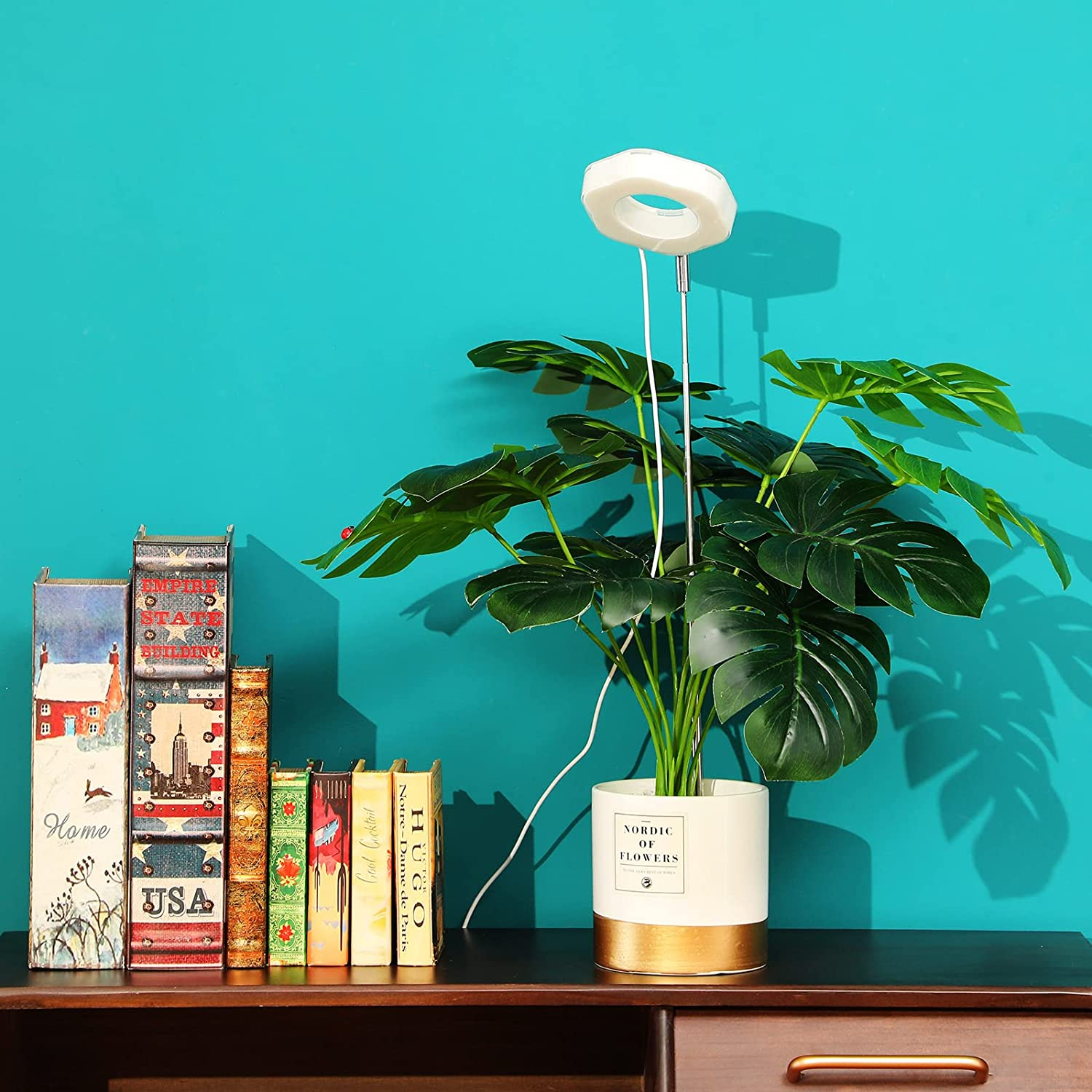 für Grow Zimmerpflanzen Hexagon LED-Lampe Pflanzen Warmweiß/Weiß INF Lights für