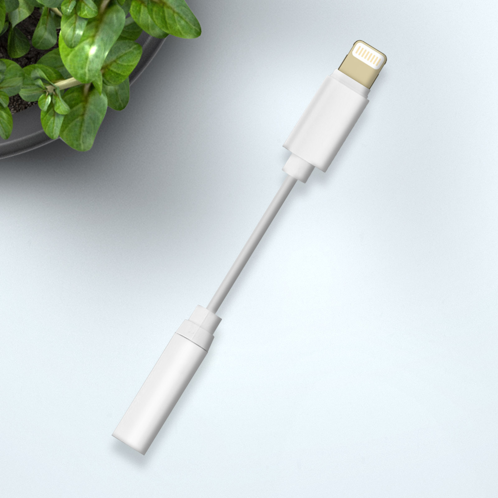 Cavo adattatore audio bianco con connettore dorato e una pianta verde. Sfondo bianco.