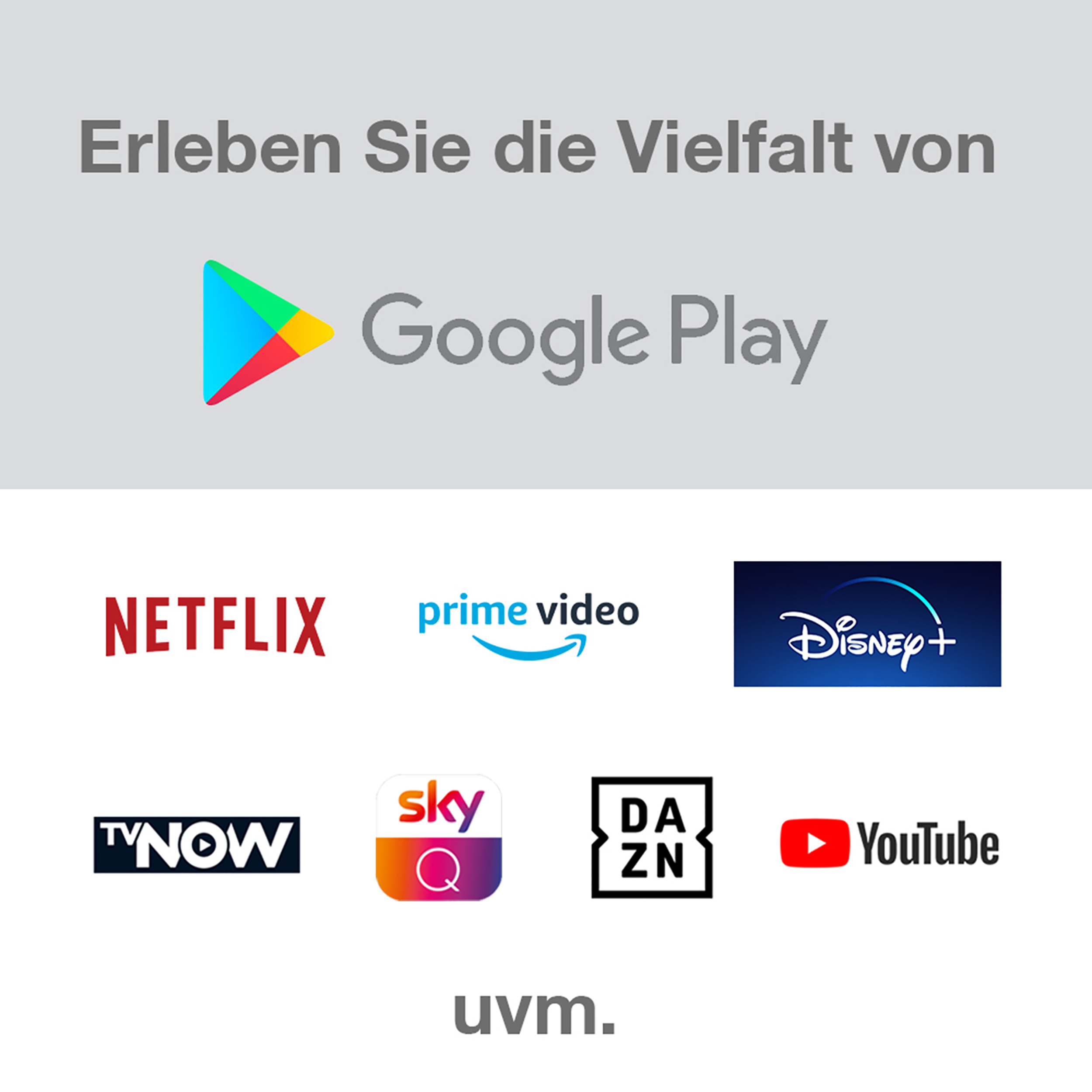 Logos von Streaming-Diensten: Netflix, Prime Video, Disney+, TVNOW, Sky Q, DAZN und YouTube, auf grauem Hintergrund.