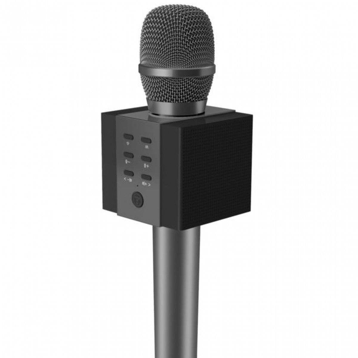 5W Lautsprecher med Graphitschwarz Karaoke-Mikrofon Bluetooth INF Mikrofon Graphitschwarz