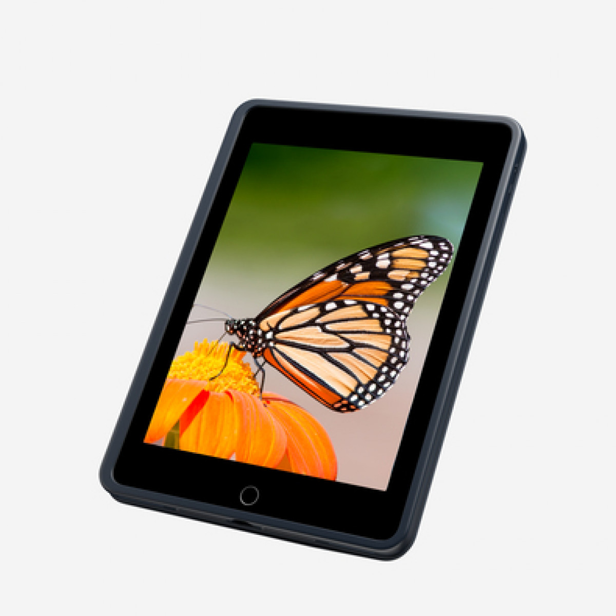 Una farfalla monarca si posa su un fiore arancione visualizzato sullo schermo di un tablet.