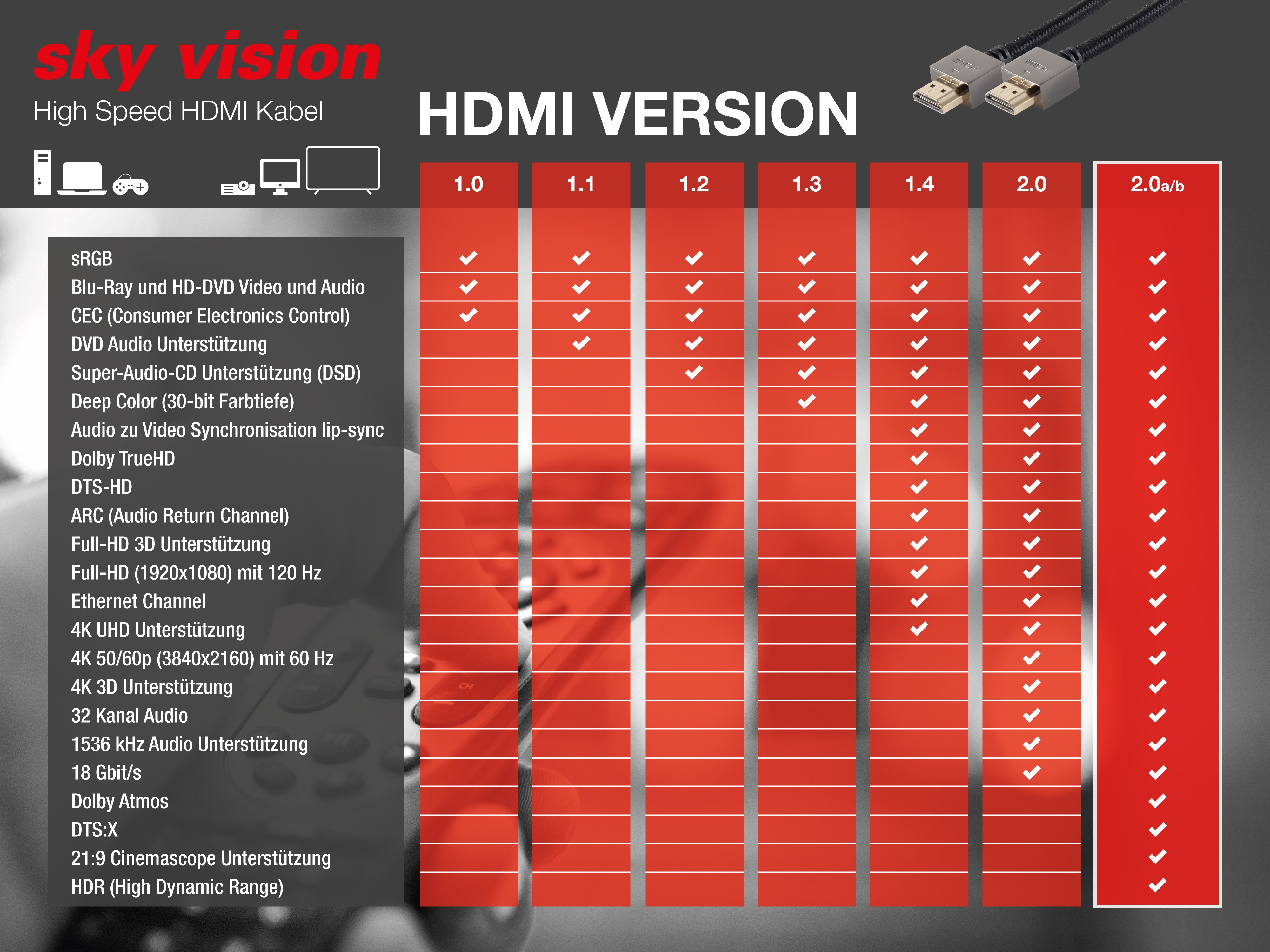 Infografik zu HDMI-Versionen: 1.0 bis 2.0b, mit Funktionen und Spezifikationen.