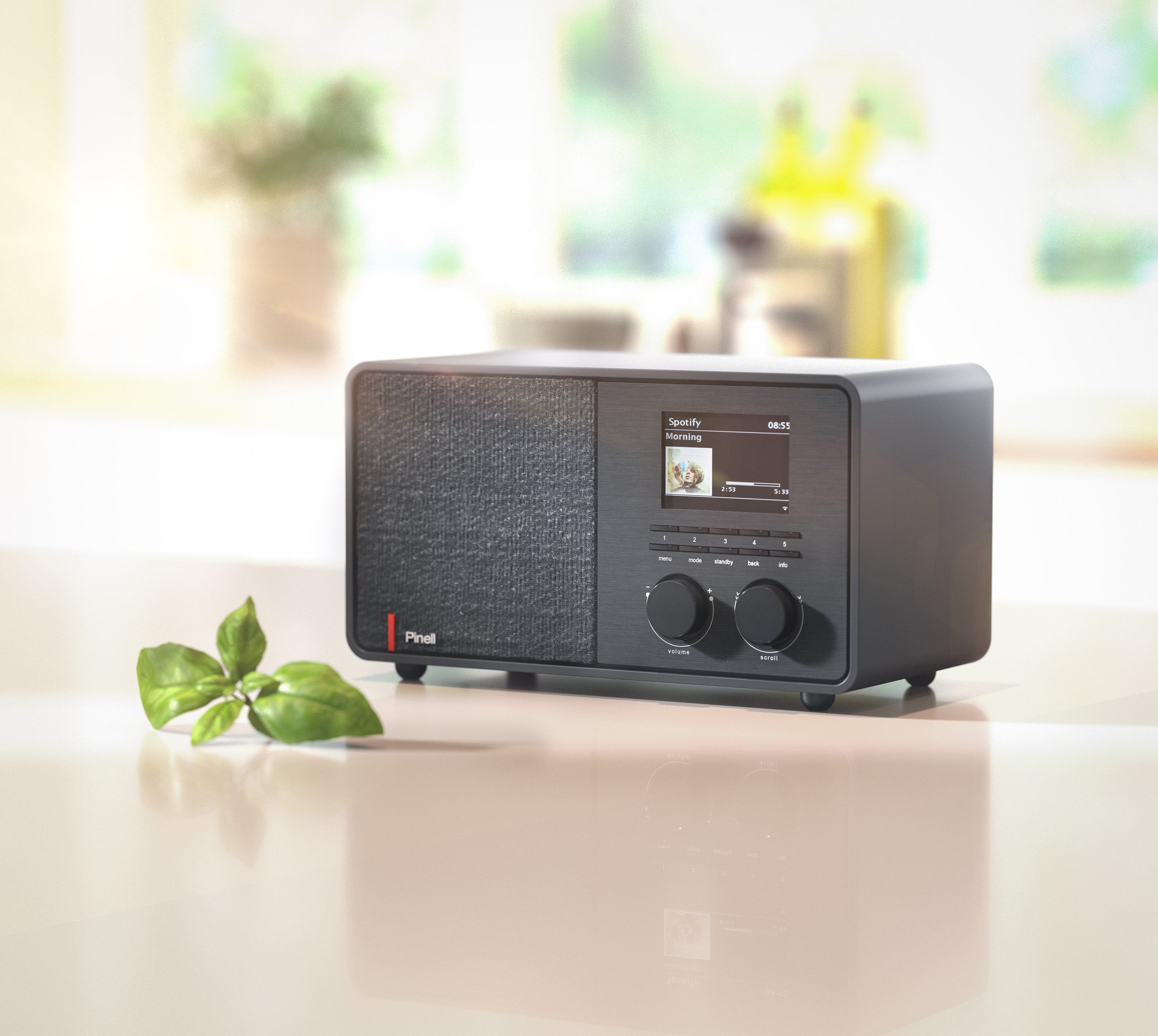 Radio noire avec écran affichant Spotify. Une plante verte est sur la table devant.