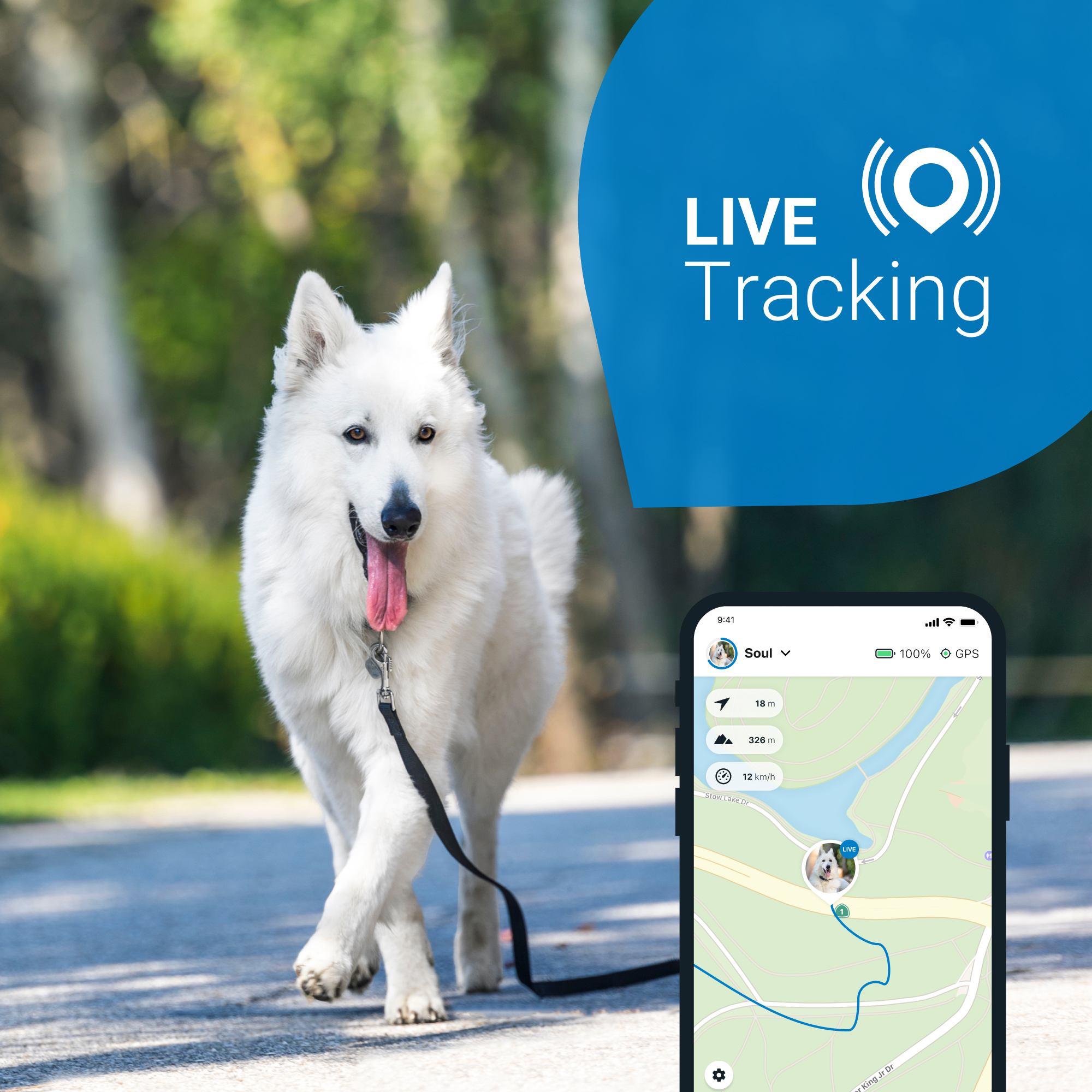 TRACTIVE GPS DOG 4. Tracker Hunde GPS für Tracker (Blau)