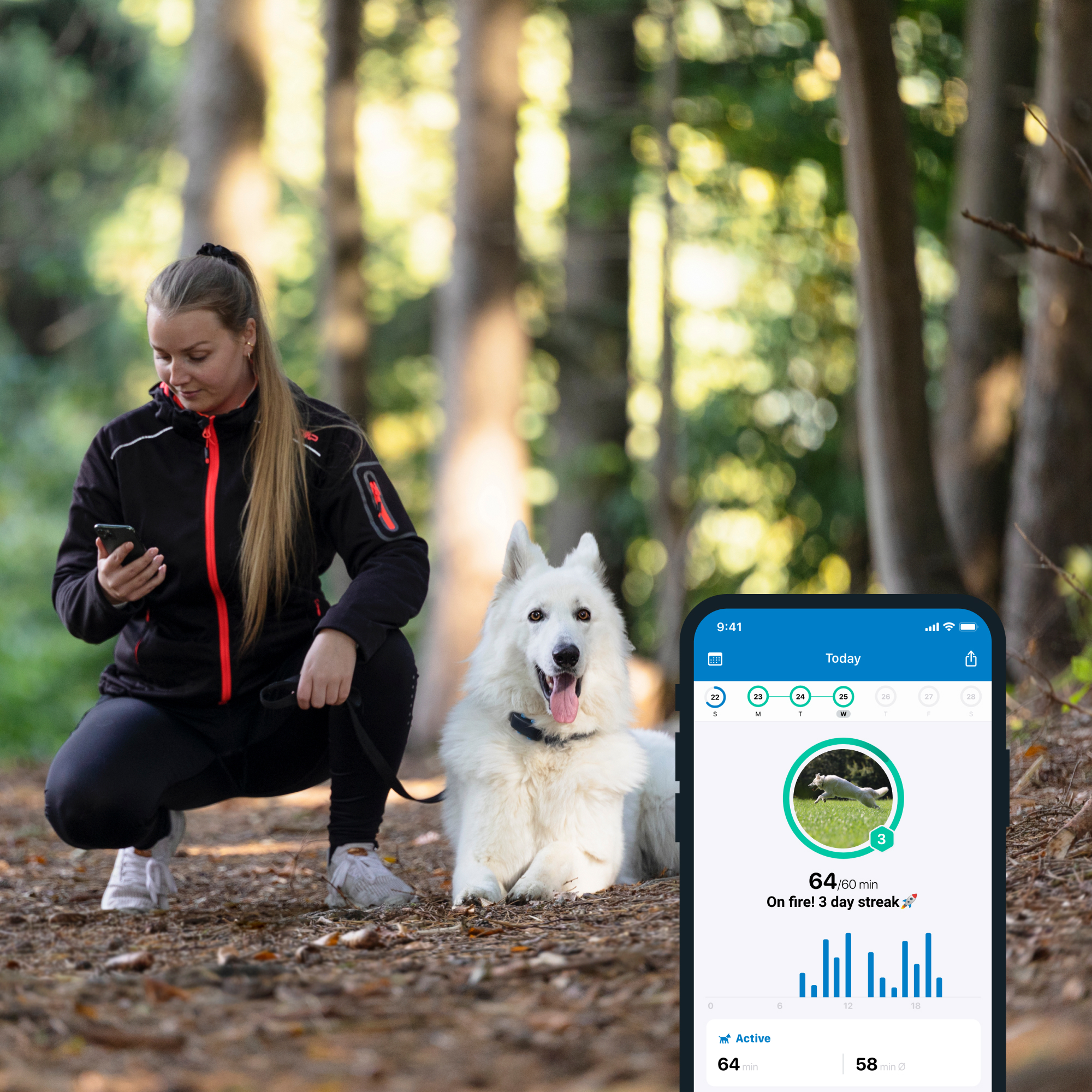 Hunde TRACTIVE 4. (Blau) Tracker Tracker GPS für DOG GPS