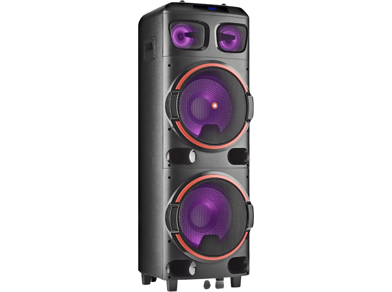 NGS WILDDUB2 Tragbarer Lautsprecher Speaker, Schwarz