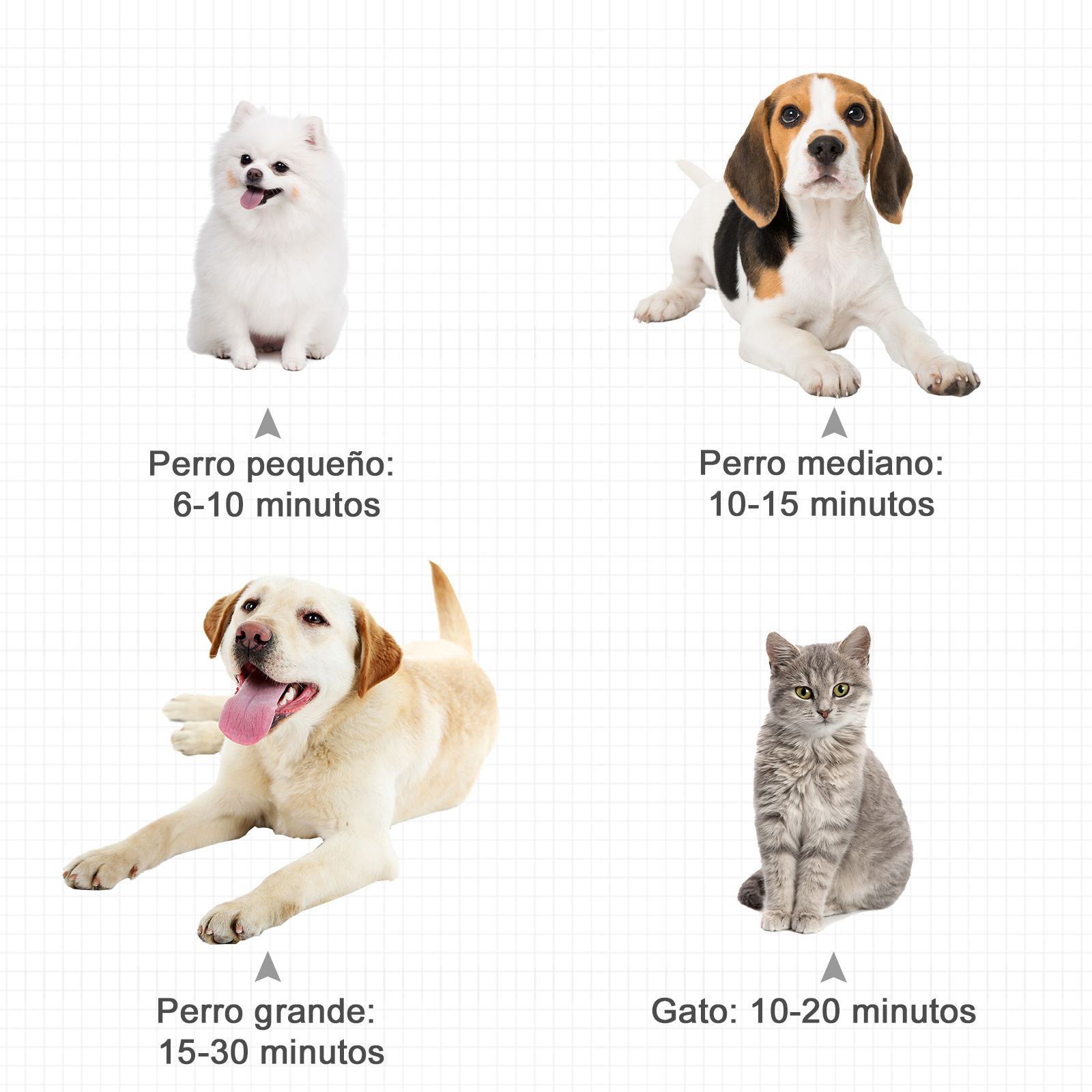 Cuatro perros y un gato, mostrando el tiempo promedio de aseo, con texto en español.