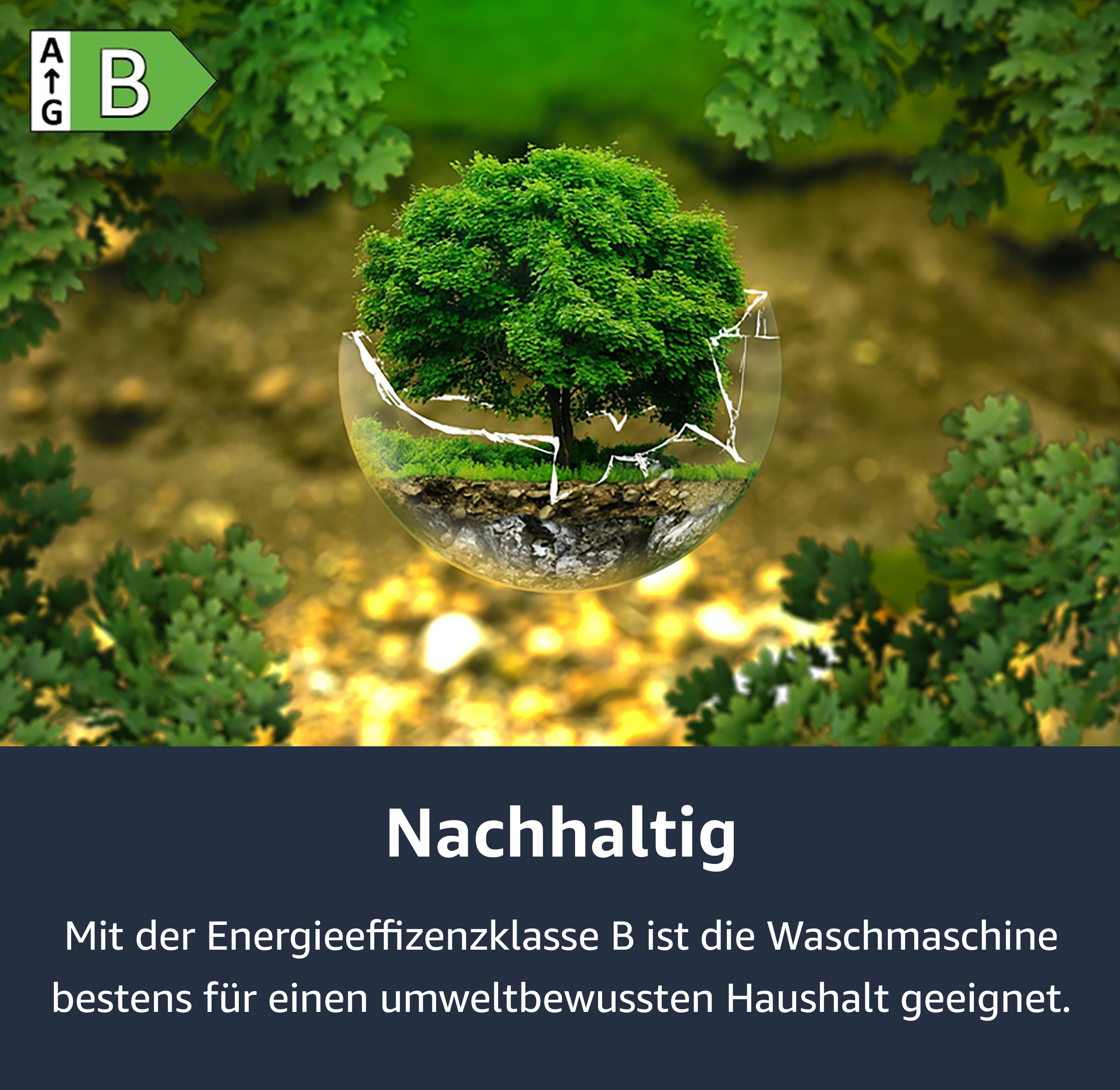Bild eines Baumes in zerbrochenem Glas, Text zur Energieeffizienz.