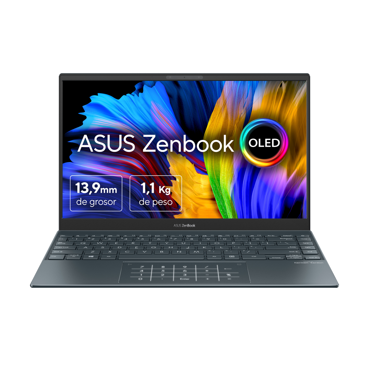 Asus Zenbook Laptop, graue Farbe, Bildschirm zeigt Text und Logo.