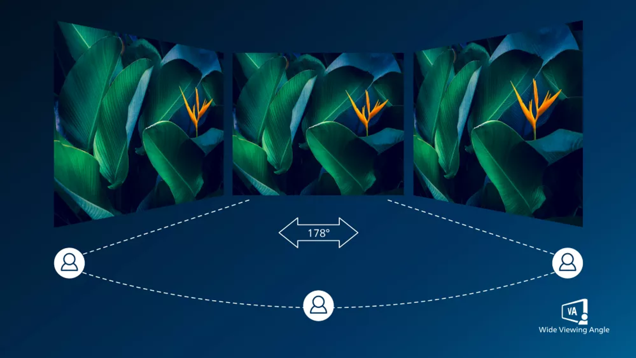 Trzy ekrany pokazujące zielone liście i pomarańczowe kwiaty, z ikoną szerokokątnego widoku.