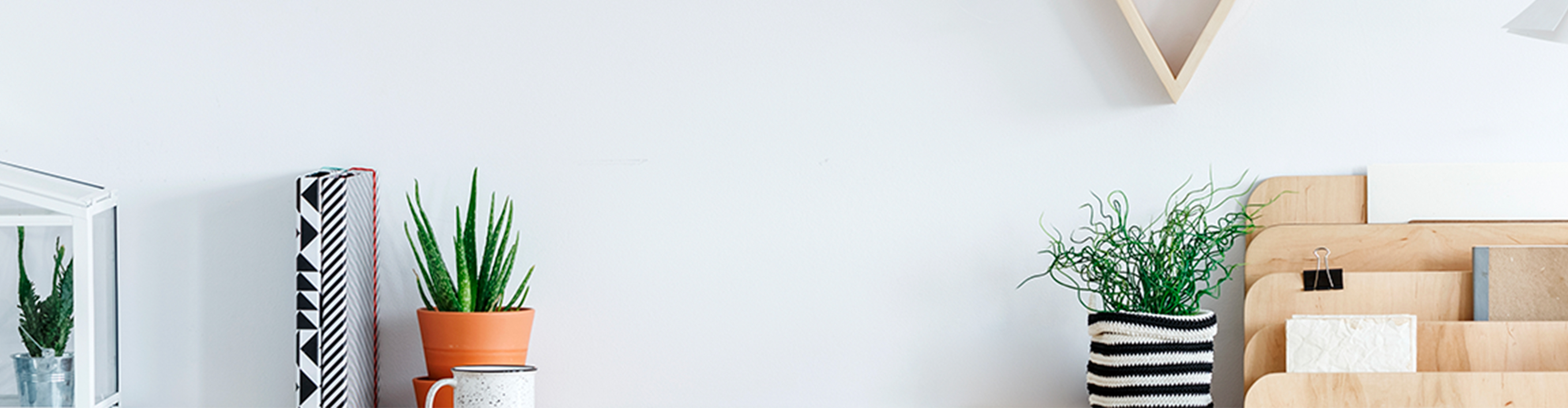 Rośliny i książki na białym tle. Nad roślinami półka w kształcie trójkąta.