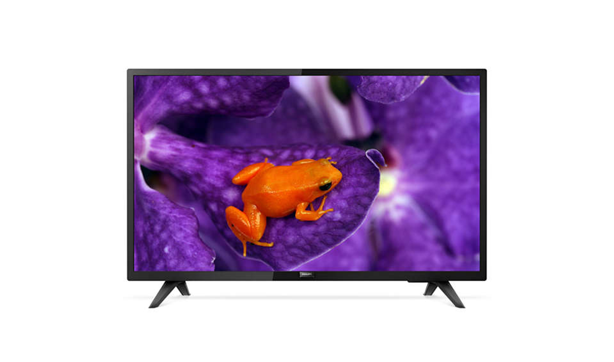 Un televisore mostra una rana arancione su un fiore viola.