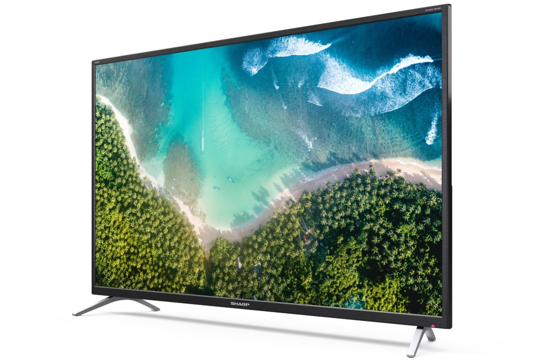 Un televisore a schermo piatto mostra una scena di spiaggia con una foresta di palme. La TV è nera.