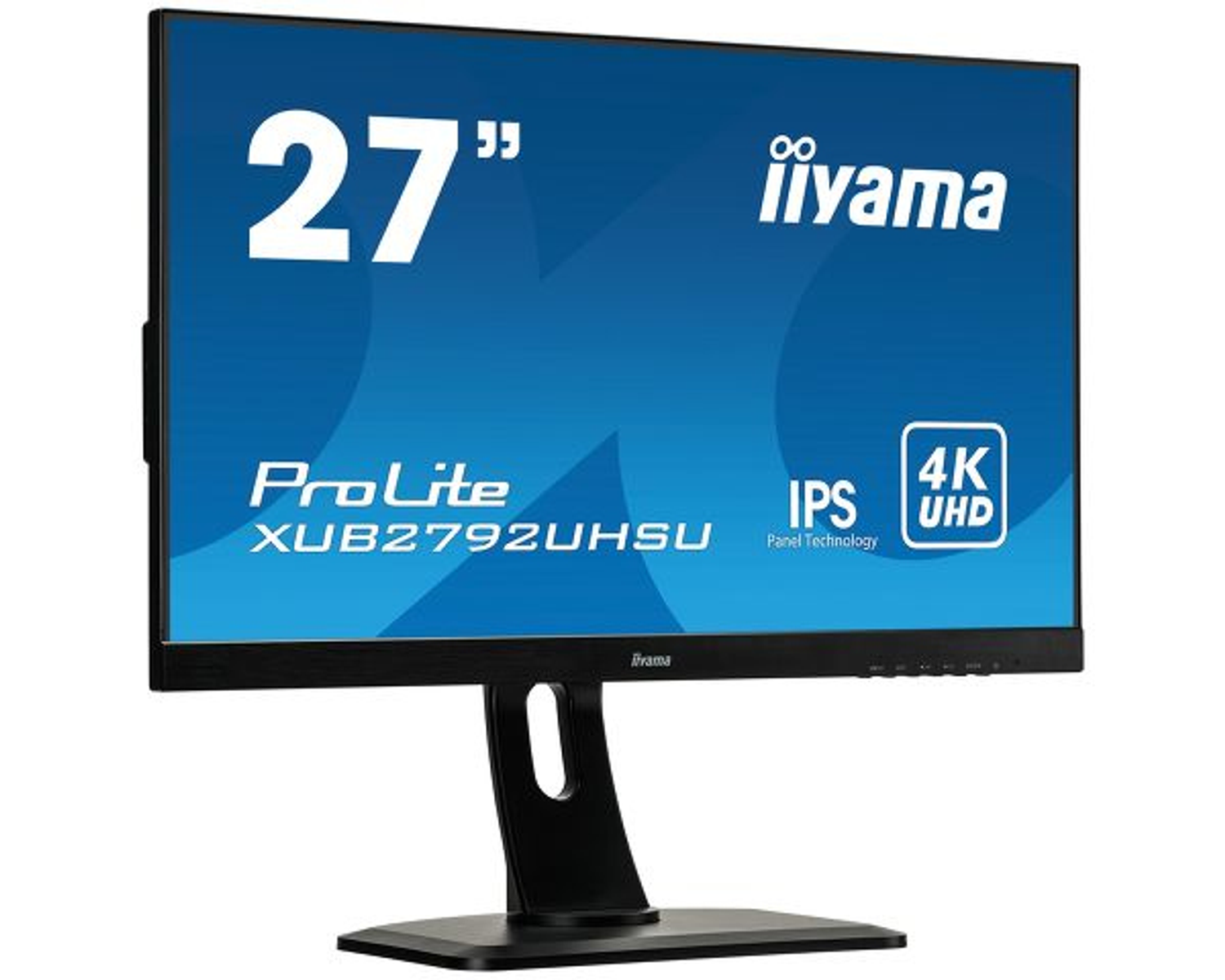 Schwarzer Computermonitor mit der Marke 'iiyama' und Text auf weißem Hintergrund.