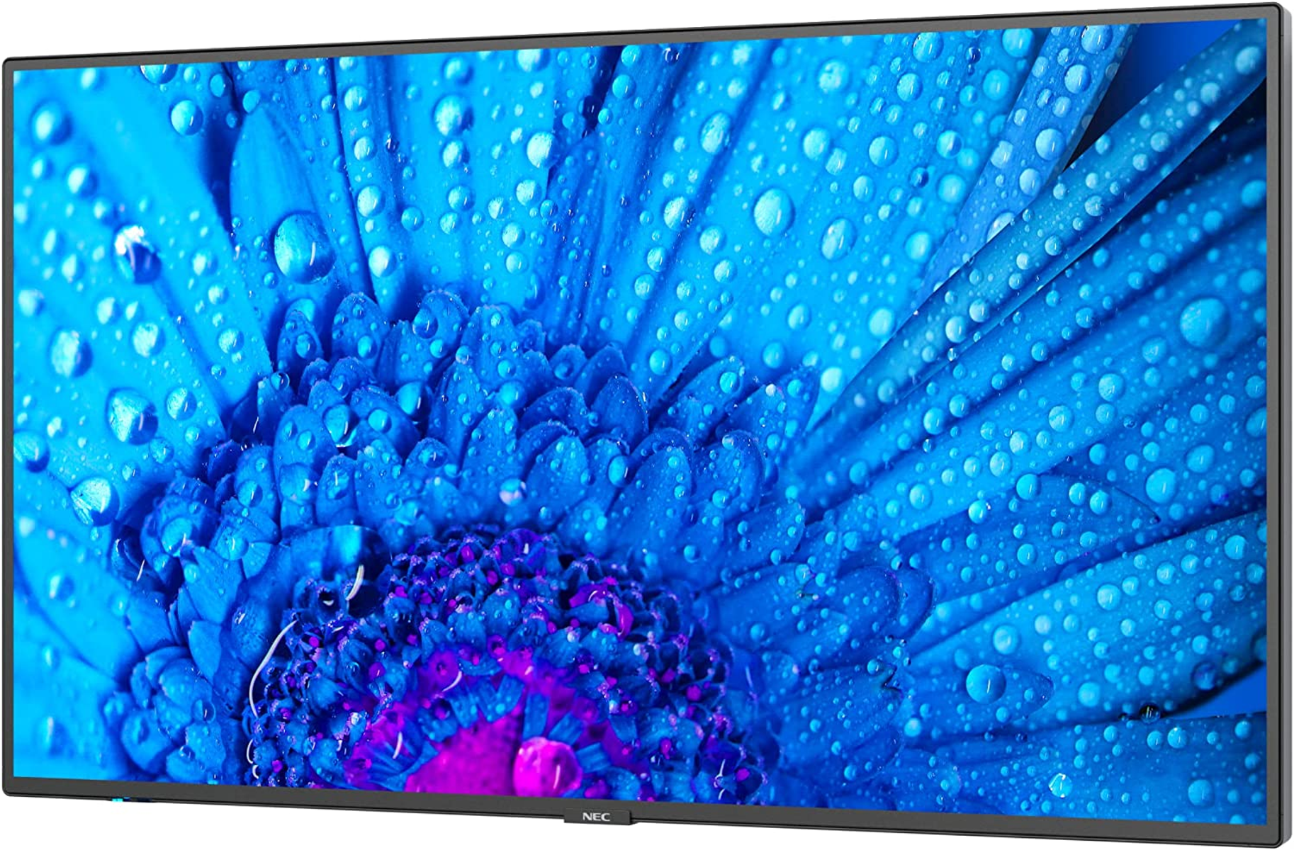 Grande TV a schermo piatto rettangolare che mostra un'immagine floreale blu con gocce d'acqua.