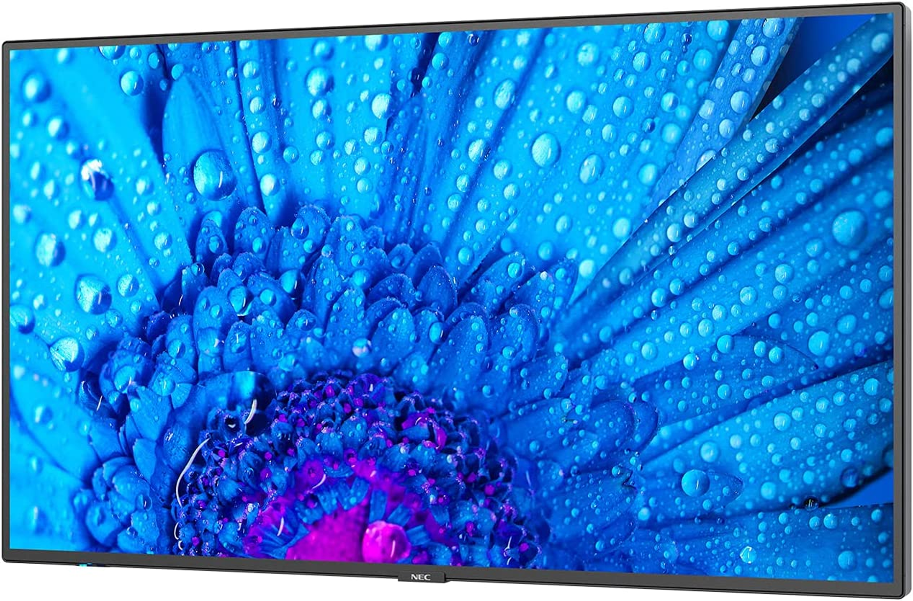 Grande schermo floreale blu con gocce d'acqua.