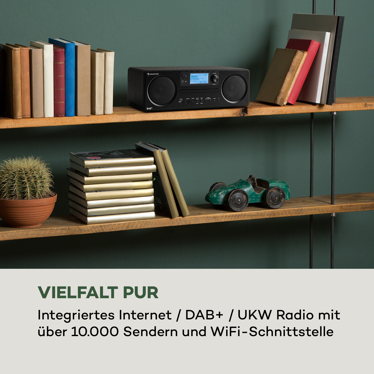 Holzregale mit Radio und Büchern. Kaktus und Spielzeugauto sind sichtbar. Grünes Hintergrund.