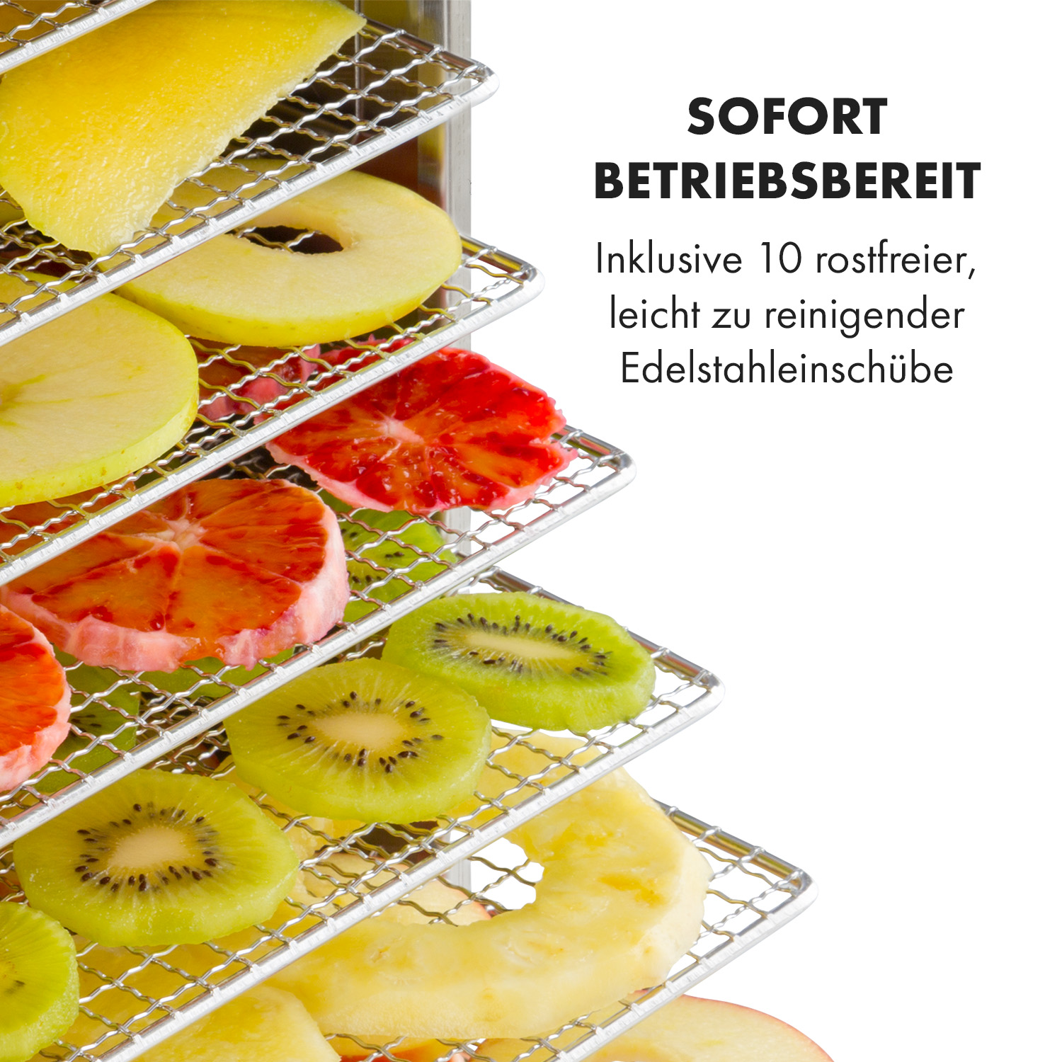 Fruchtscheiben auf Metallgestellen. Die Früchte sind Kiwi, Orange und Apfel. Weißer Hintergrund.