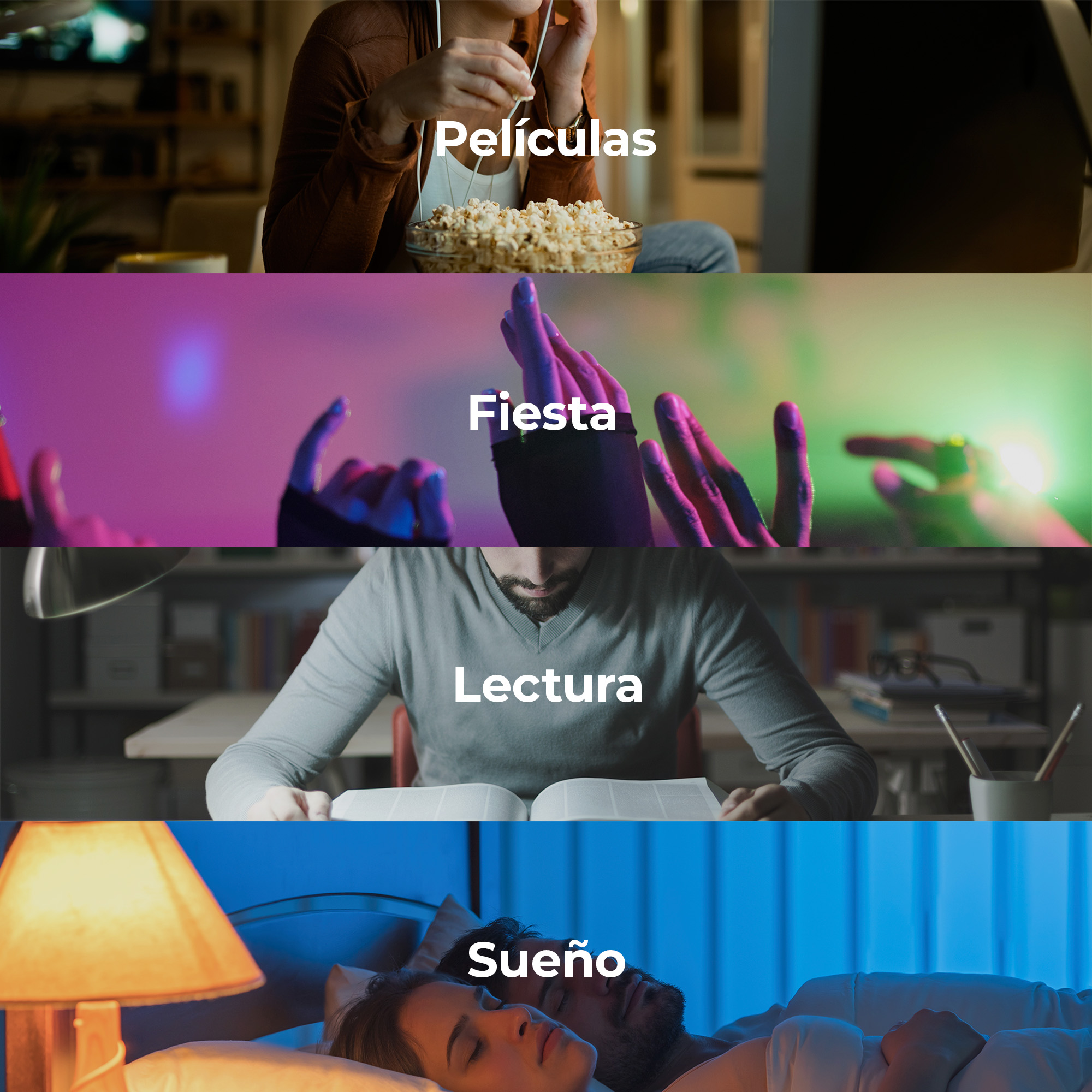 Quattro immagini: guardare film, festa, leggere e dormire. Ognuna ha una parola.